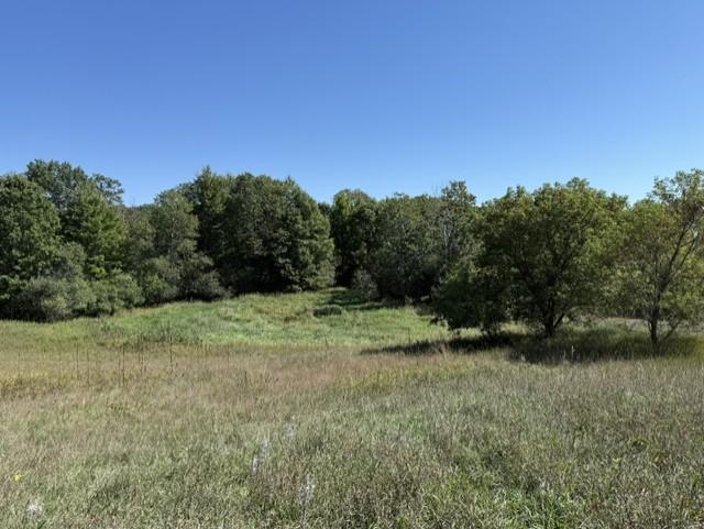 View of Land at 0000 241st Avenue, Stacy MN 55079, Stacy (5 of 14) - Mike Wilen | Minnesota Team Real Estate