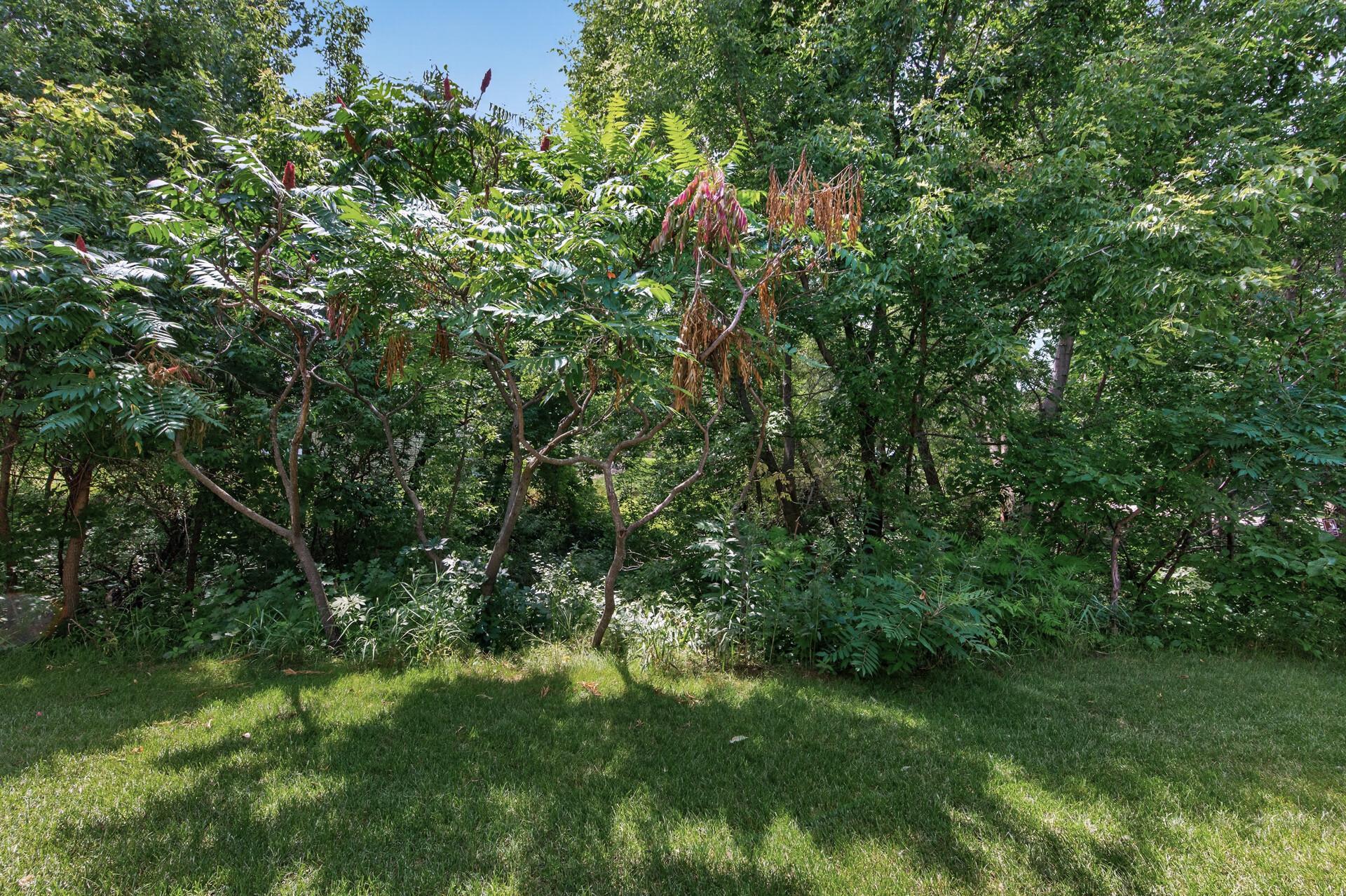 View of Residential at 2637 Wilds Lane, Prior Lake MN 55372, Prior Lake (23 of 27) - Mike Wilen | Minnesota Team Real Estate