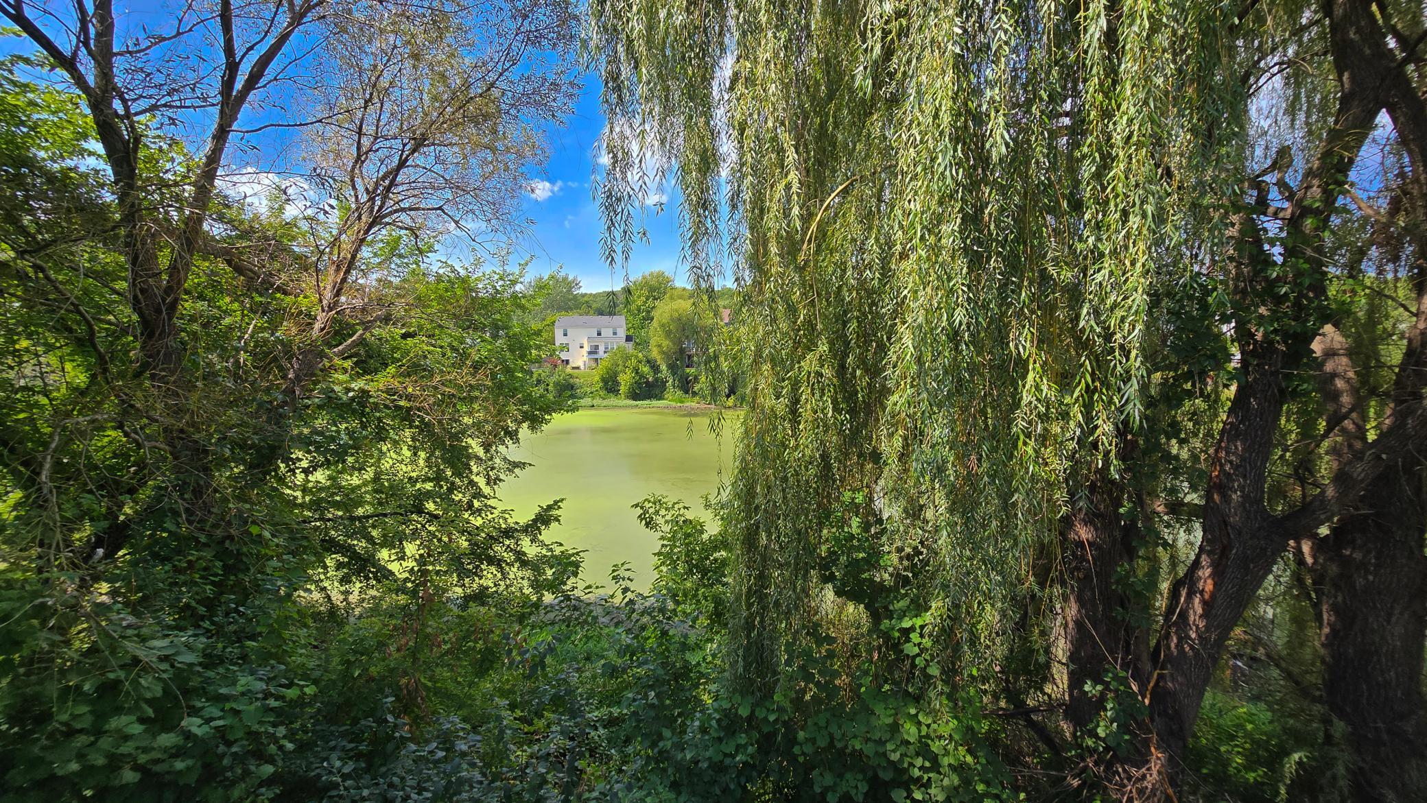 View of Residential at 13992 Virginia Avenue, Savage MN 55378, Savage (13 of 49) - Mike Wilen | Minnesota Team Real Estate