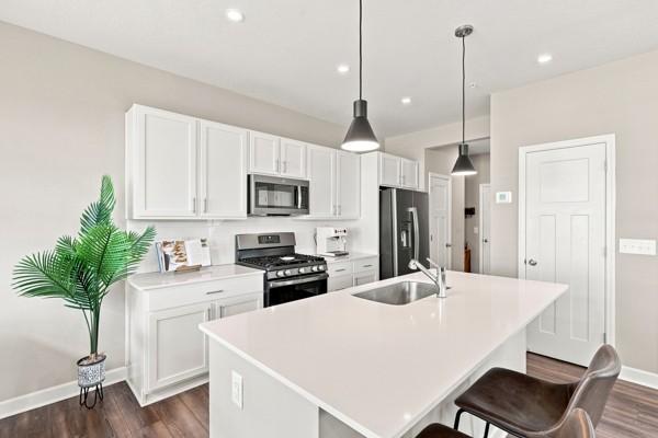 View of Residential at 1511 Dogwood Lane, Carver MN 55315, Carver (10 of 18) - Mike Wilen | Minnesota Team Real Estate