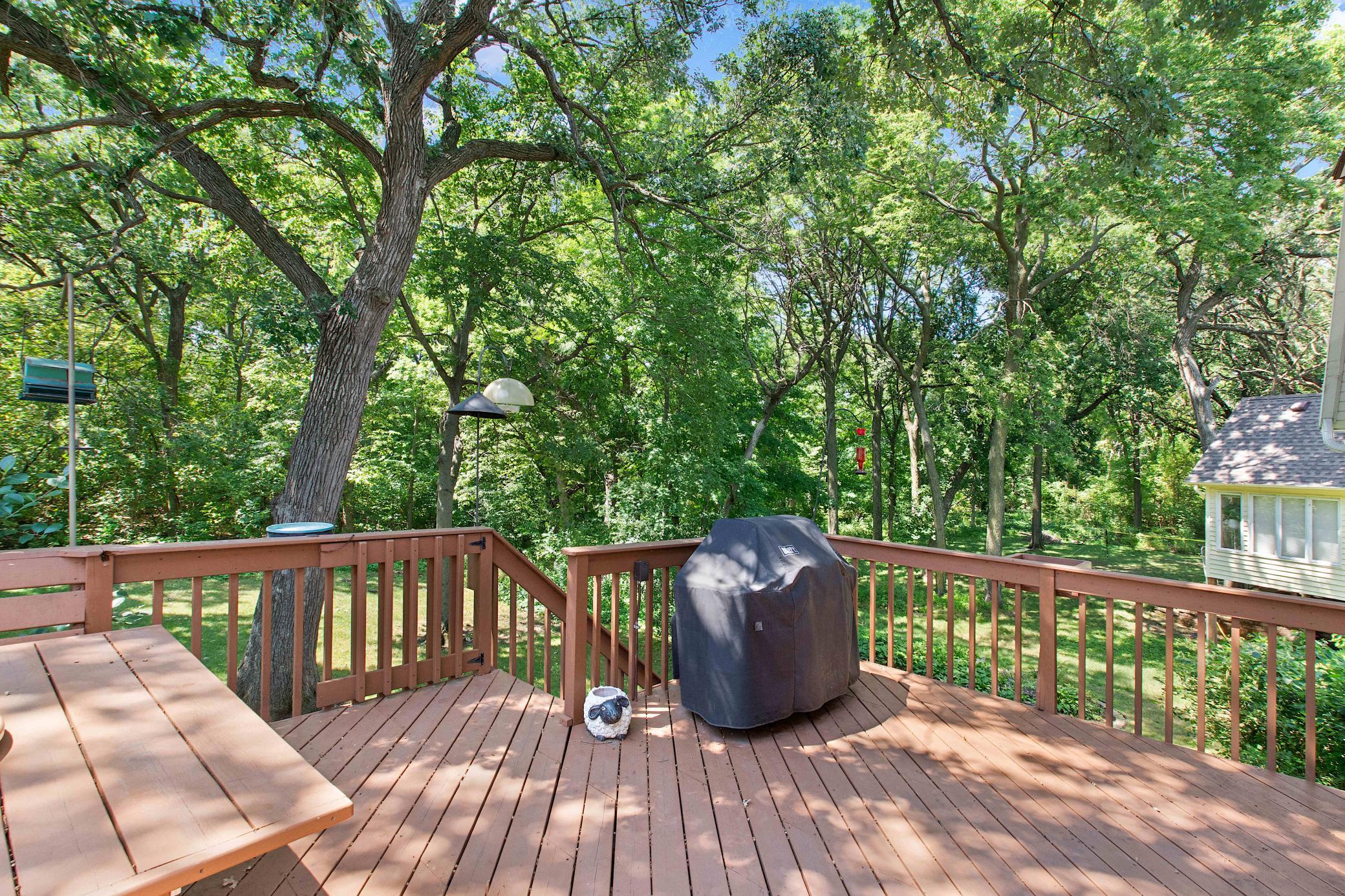 View of Residential at 8978 Jewel Avenue, Cottage Grove MN 55016, Cottage Grove (48 of 51) - Mike Wilen | Minnesota Team Real Estate