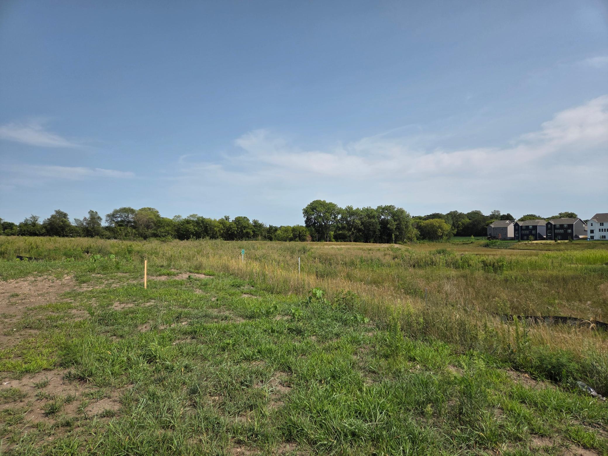 View of Residential at 4723 Blake Way, Woodbury MN 55129, Woodbury (2 of 47) - Mike Wilen | Minnesota Team Real Estate