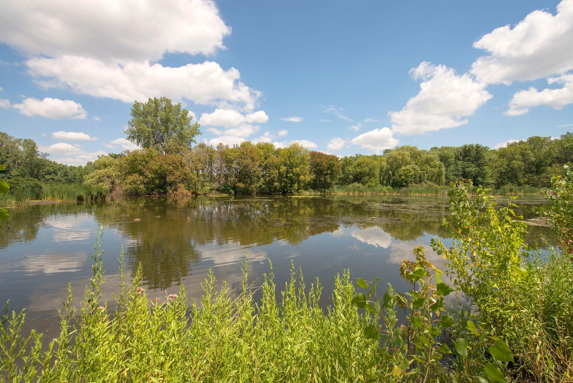 View of Residential at 6828 Grand Avenue, Richfield MN 55423, Richfield (27 of 45) - Mike Wilen | Minnesota Team Real Estate