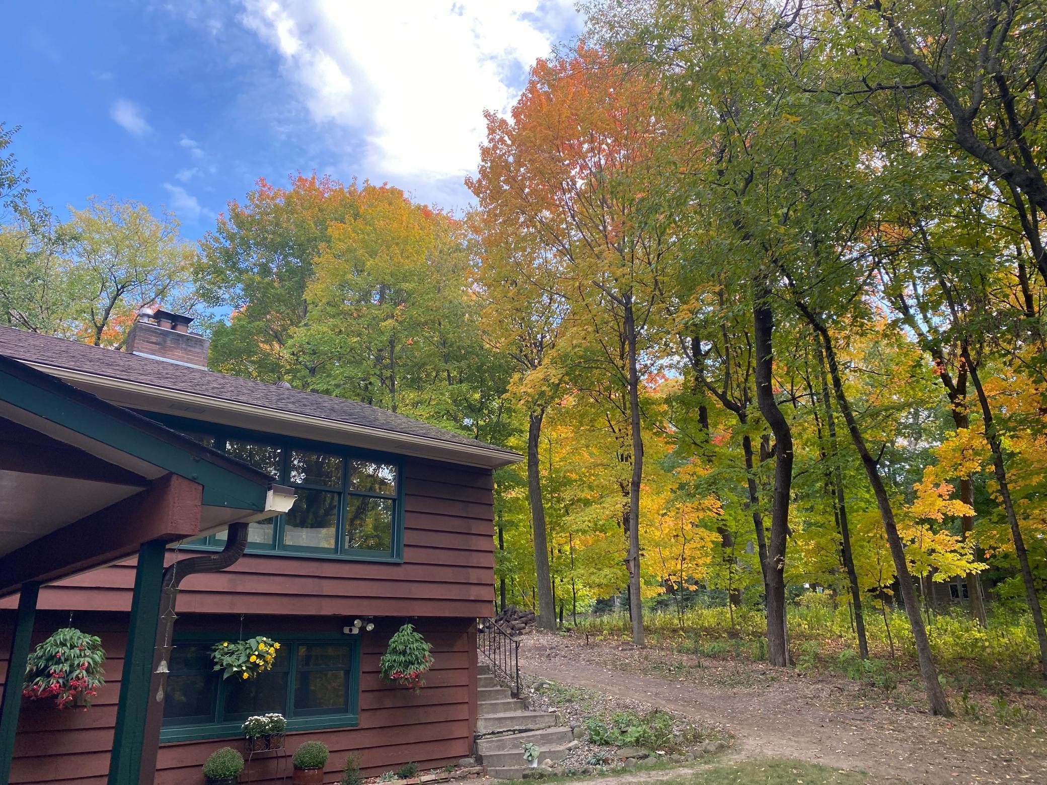 View of Residential at 16609 Hidden Valley Road, Minnetonka MN 55345, Minnetonka (33 of 37) - Mike Wilen | Minnesota Team Real Estate