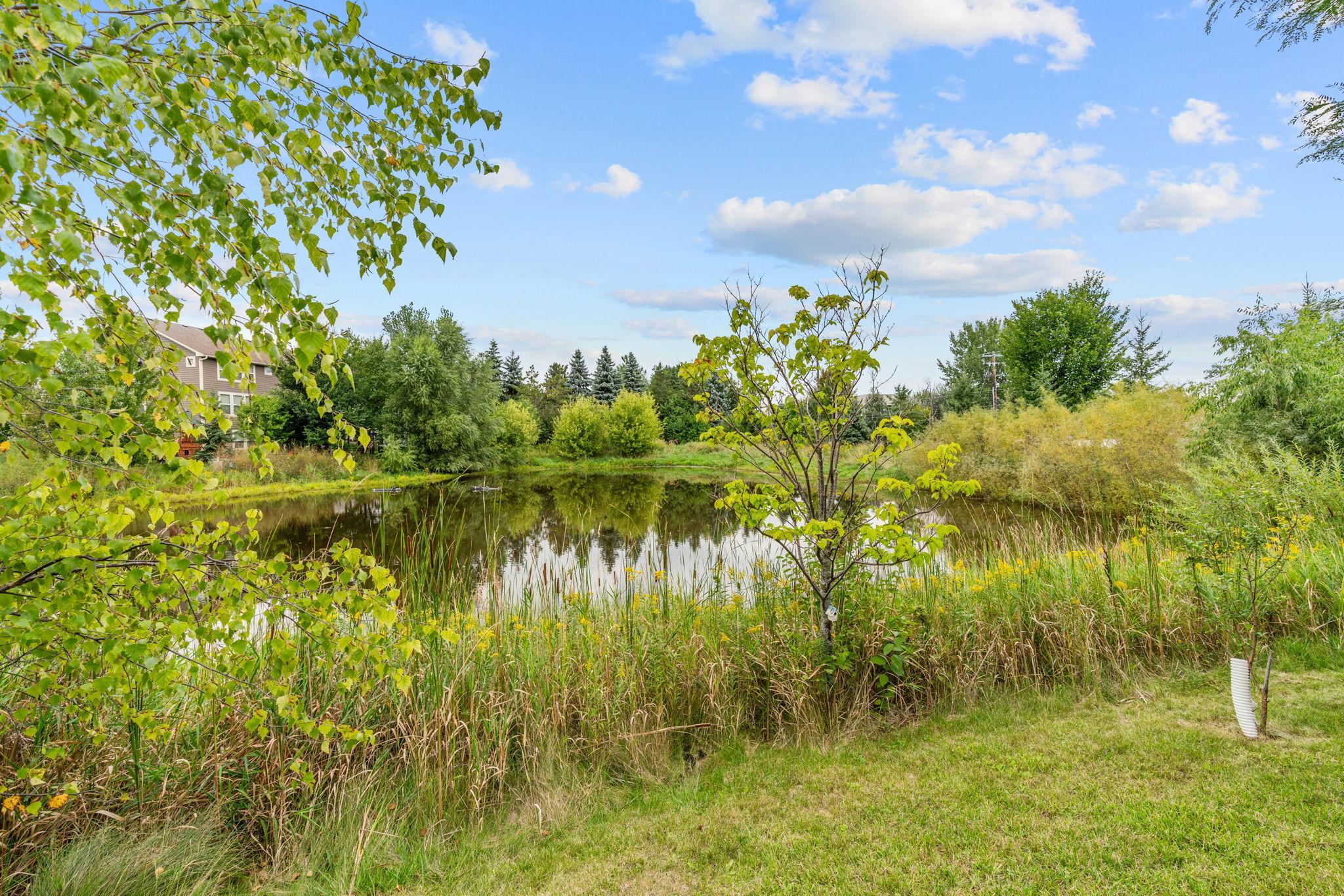 View of Residential at 3006 Wild Flower Trail, Medina MN 55340, Medina (16 of 97) - Mike Wilen | Minnesota Team Real Estate