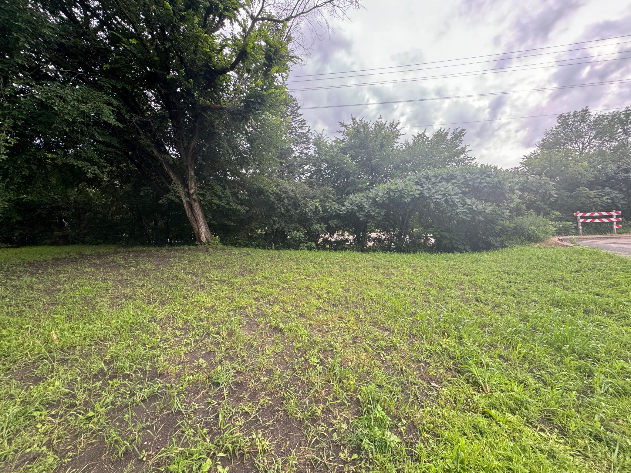 View of Land at 409 Orange Street, Waconia MN 55387, Waconia (2 of 6) - Mike Wilen | Minnesota Team Real Estate