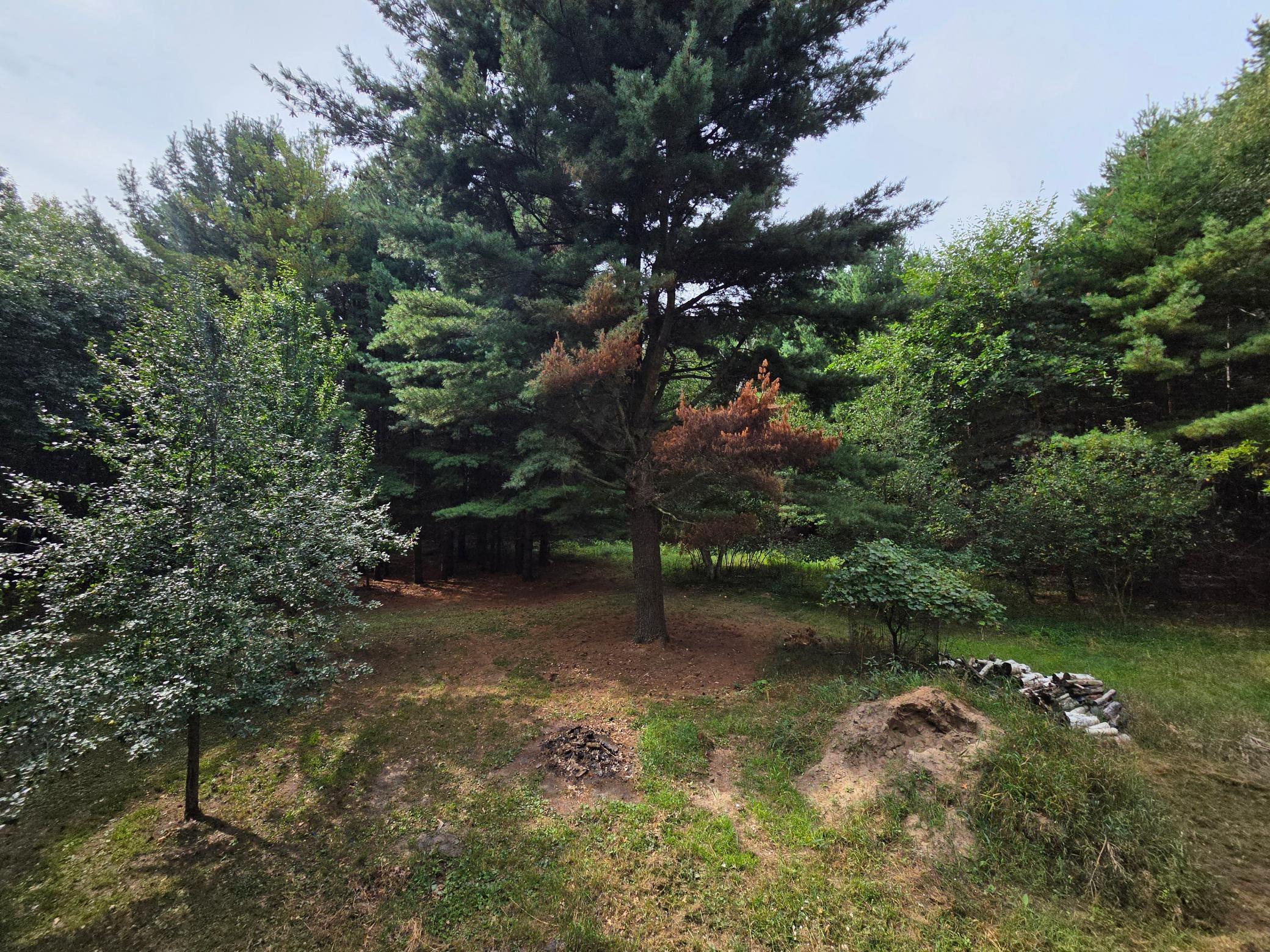 View of Residential at 7220 237th Avenue, Stacy MN 55079, Stacy (24 of 86) - Mike Wilen | Minnesota Team Real Estate
