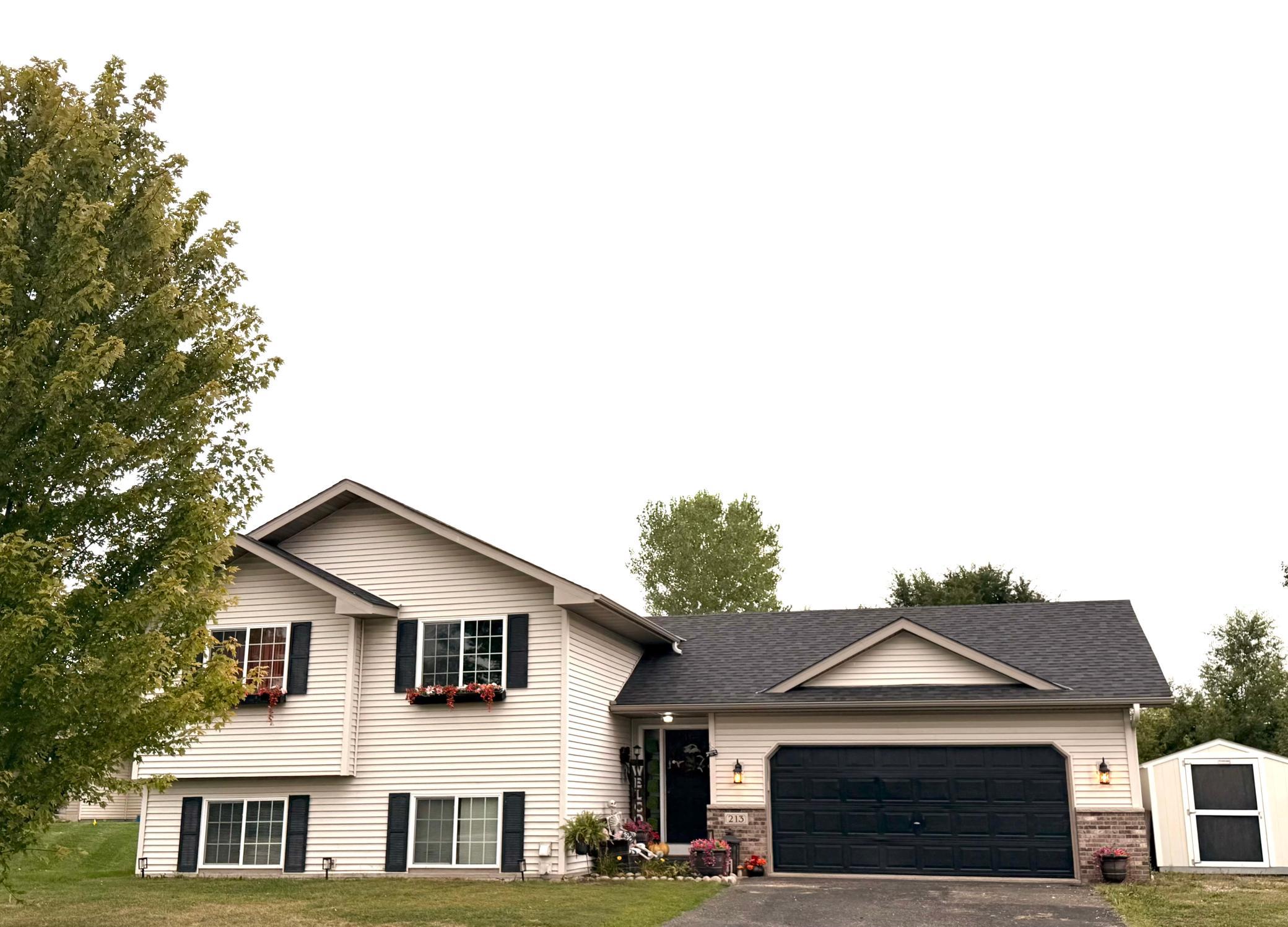 View of Residential at 213 Ash Street, Annandale MN 55302, Annandale - Mike Wilen | Minnesota Team Real Estate