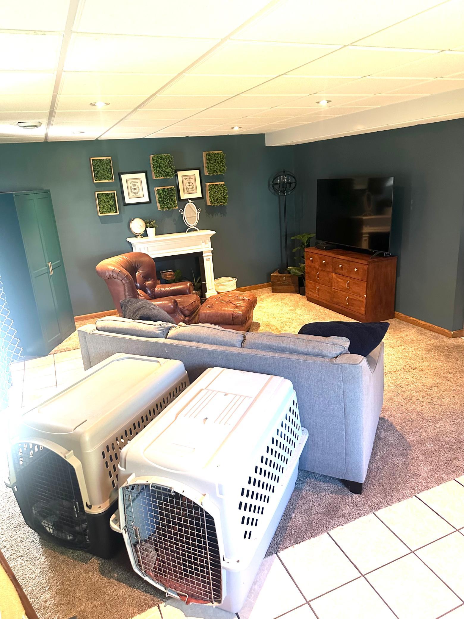 View of Residential at 213 Ash Street, Annandale MN 55302, Annandale (25 of 36) - Mike Wilen | Minnesota Team Real Estate