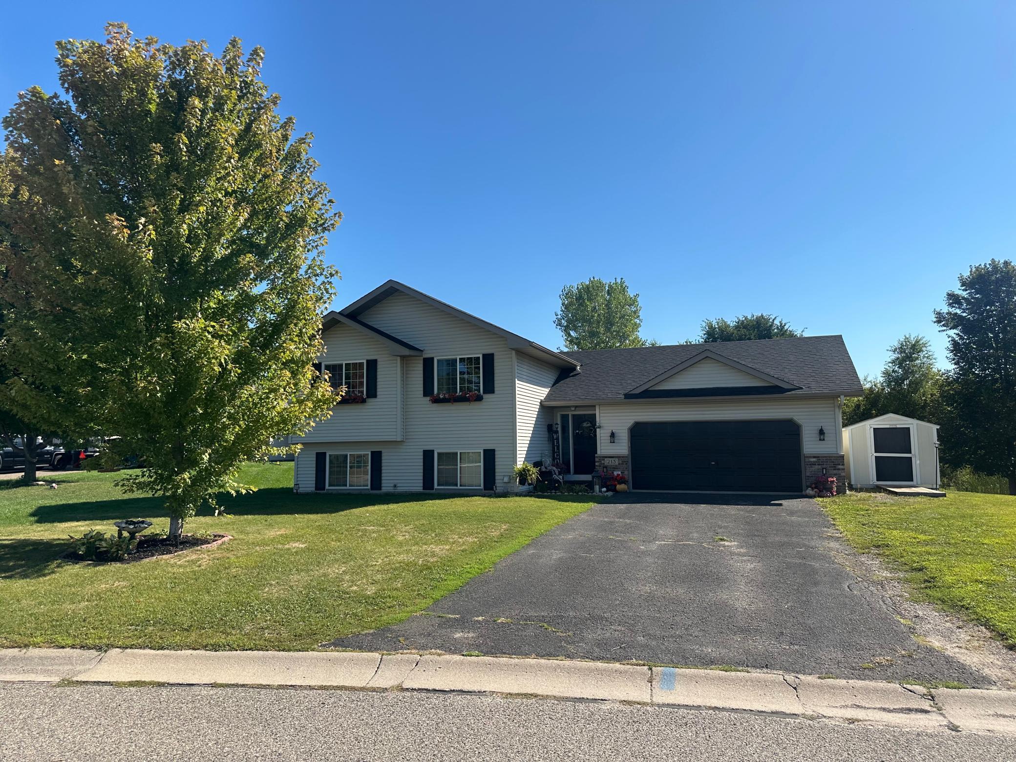 View of Single Family at 213 Ash Street, Annandale - Mike Wilen | Minnesota Team Real Estate
