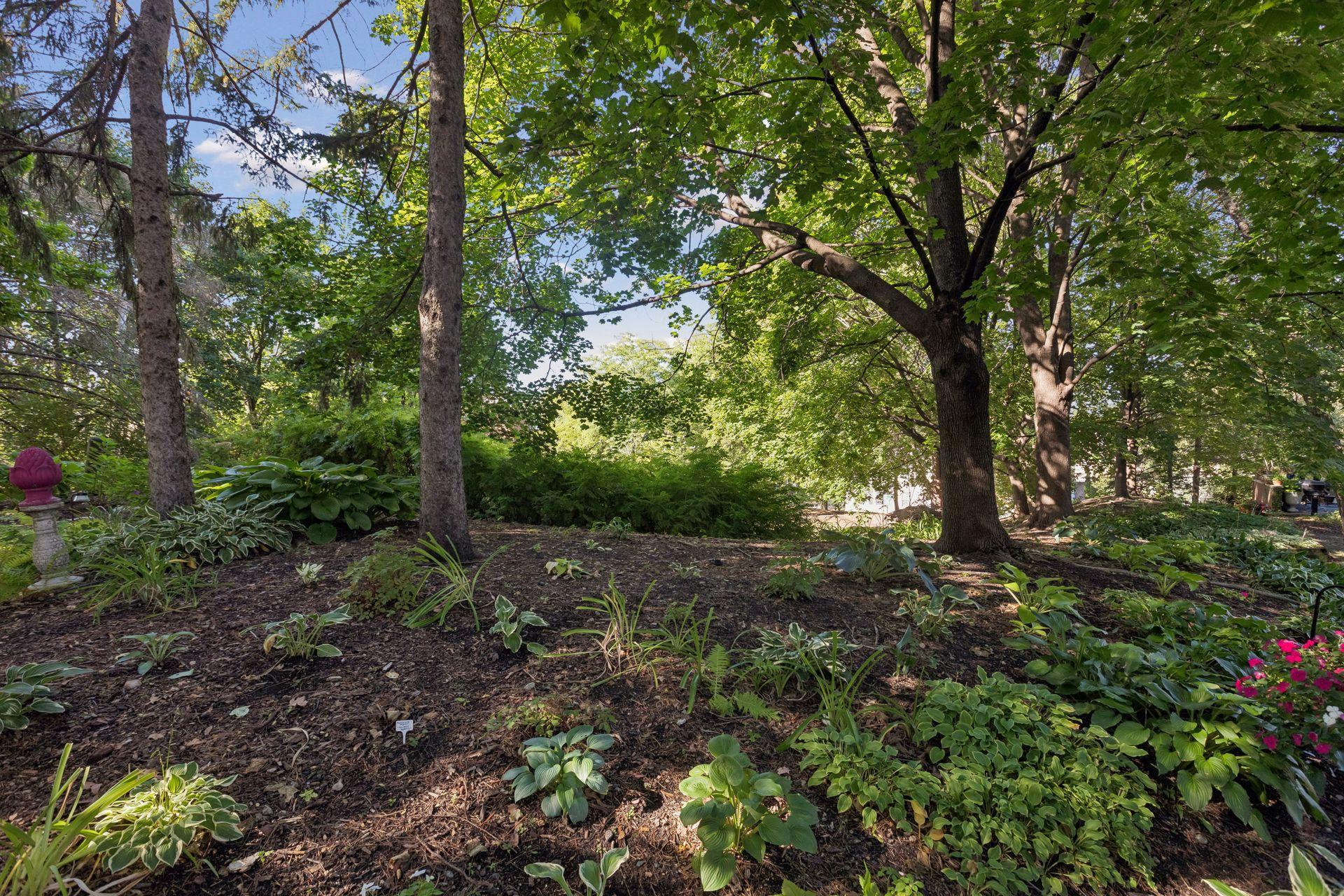 View of Residential at 1952 Dupont Avenue, Minneapolis MN 55403, Minneapolis (34 of 34) - Mike Wilen | Minnesota Team Real Estate