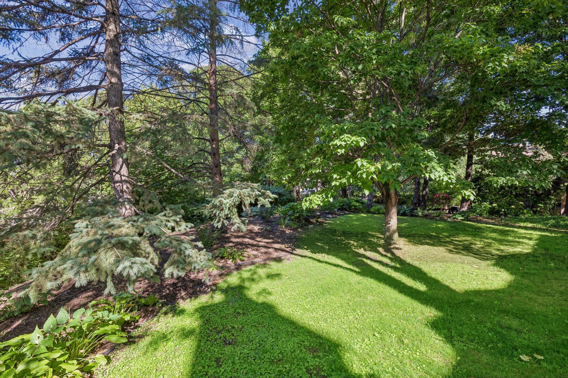 View of Residential at 1952 Dupont Avenue, Minneapolis MN 55403, Minneapolis (32 of 34) - Mike Wilen | Minnesota Team Real Estate