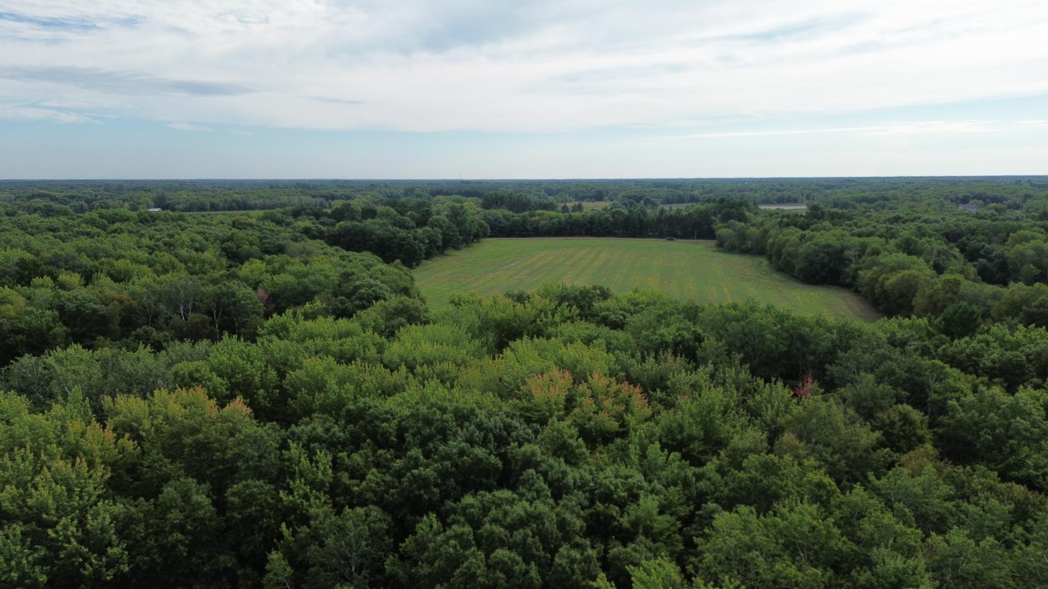 View of Land at TBD Potassium St, Isanti MN 55040, Isanti (10 of 14) - Mike Wilen | Minnesota Team Real Estate
