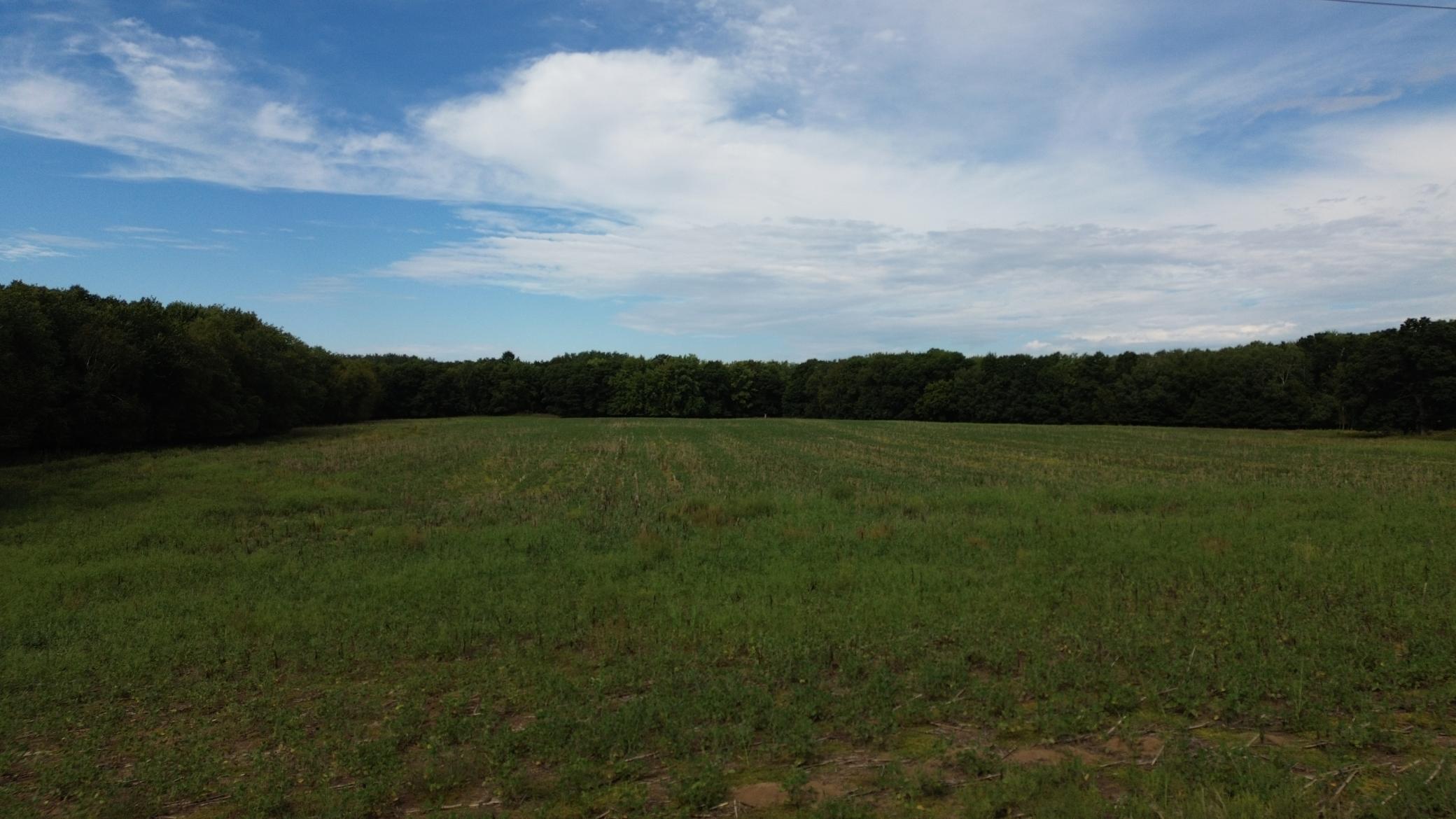 View of Land at TBD Potassium St, Isanti MN 55040, Isanti (4 of 14) - Mike Wilen | Minnesota Team Real Estate