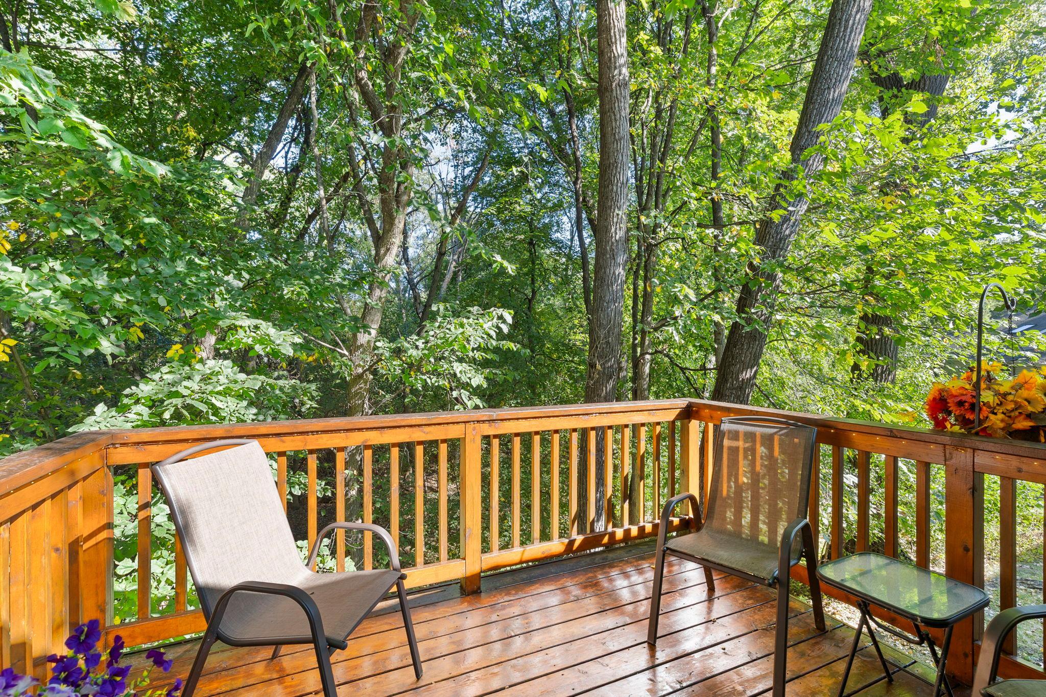 View of Residential at 1583 Bavarian Pass, Fridley MN 55432, Fridley (49 of 65) - Mike Wilen | Minnesota Team Real Estate
