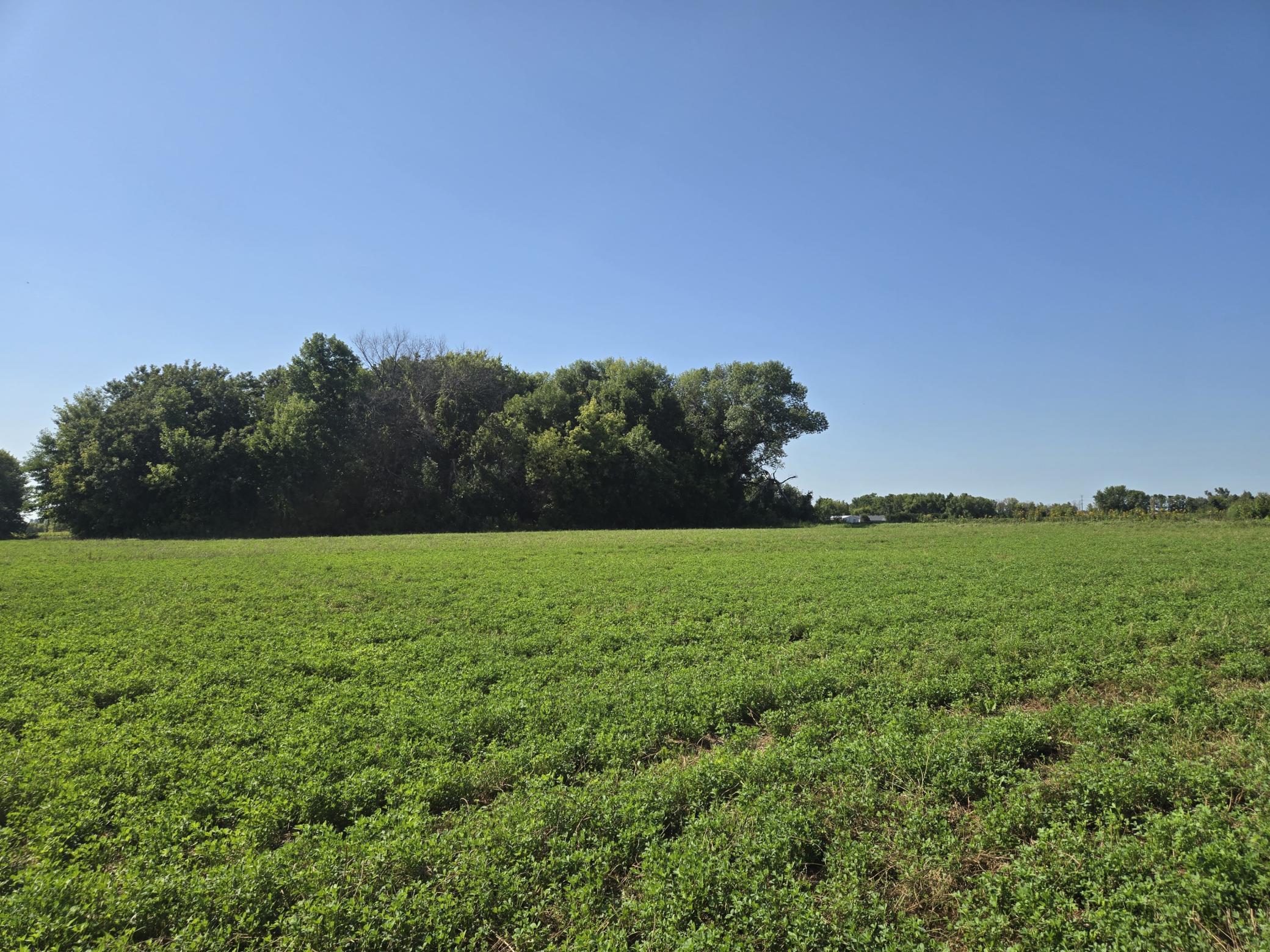 View of Commercial Sale at 23119 411th Avenue, Arlington MN 55307, Arlington (11 of 18) - Mike Wilen | Minnesota Team Real Estate