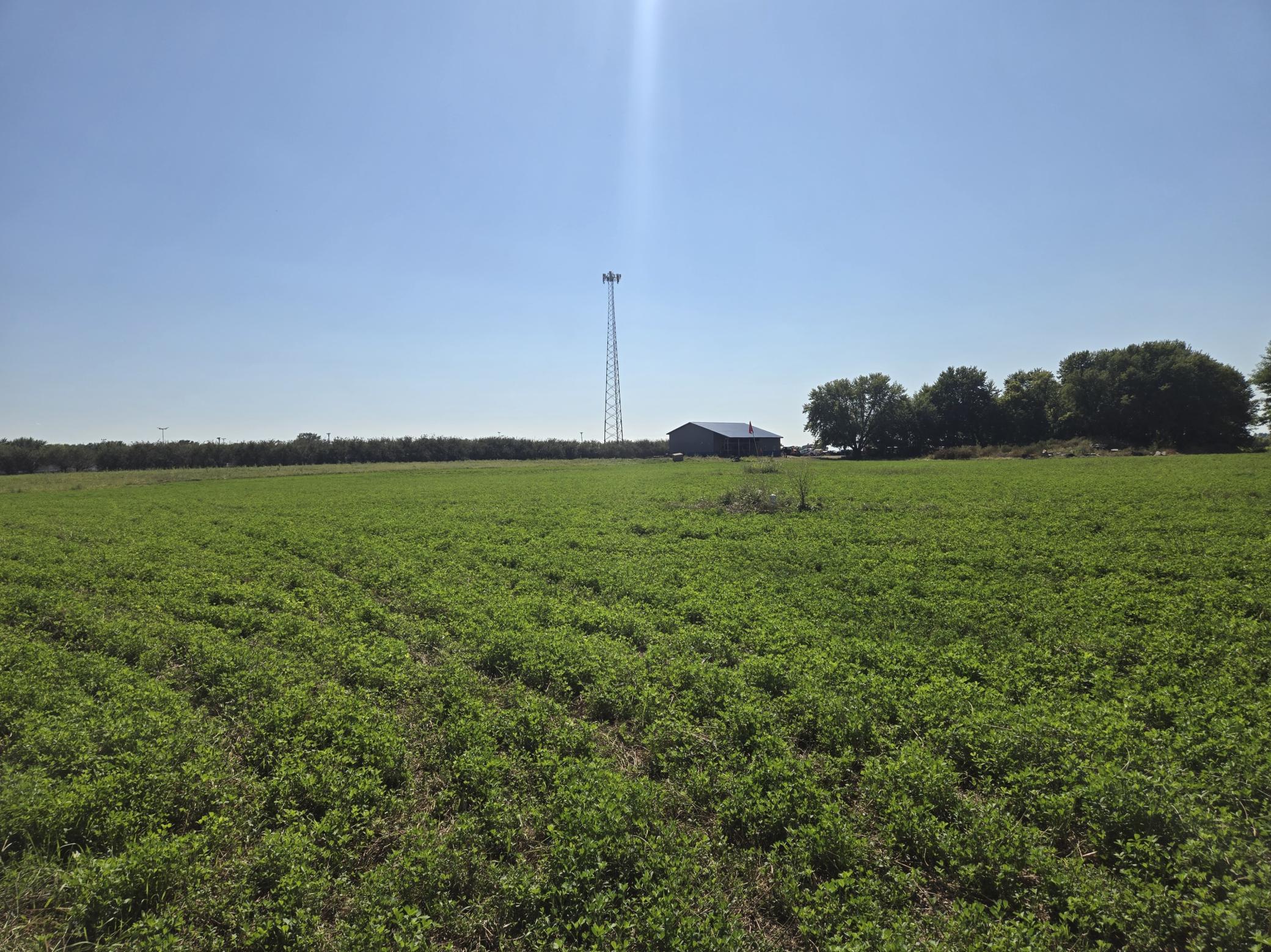 View of Commercial Sale at 23119 411th Avenue, Arlington MN 55307, Arlington (10 of 18) - Mike Wilen | Minnesota Team Real Estate