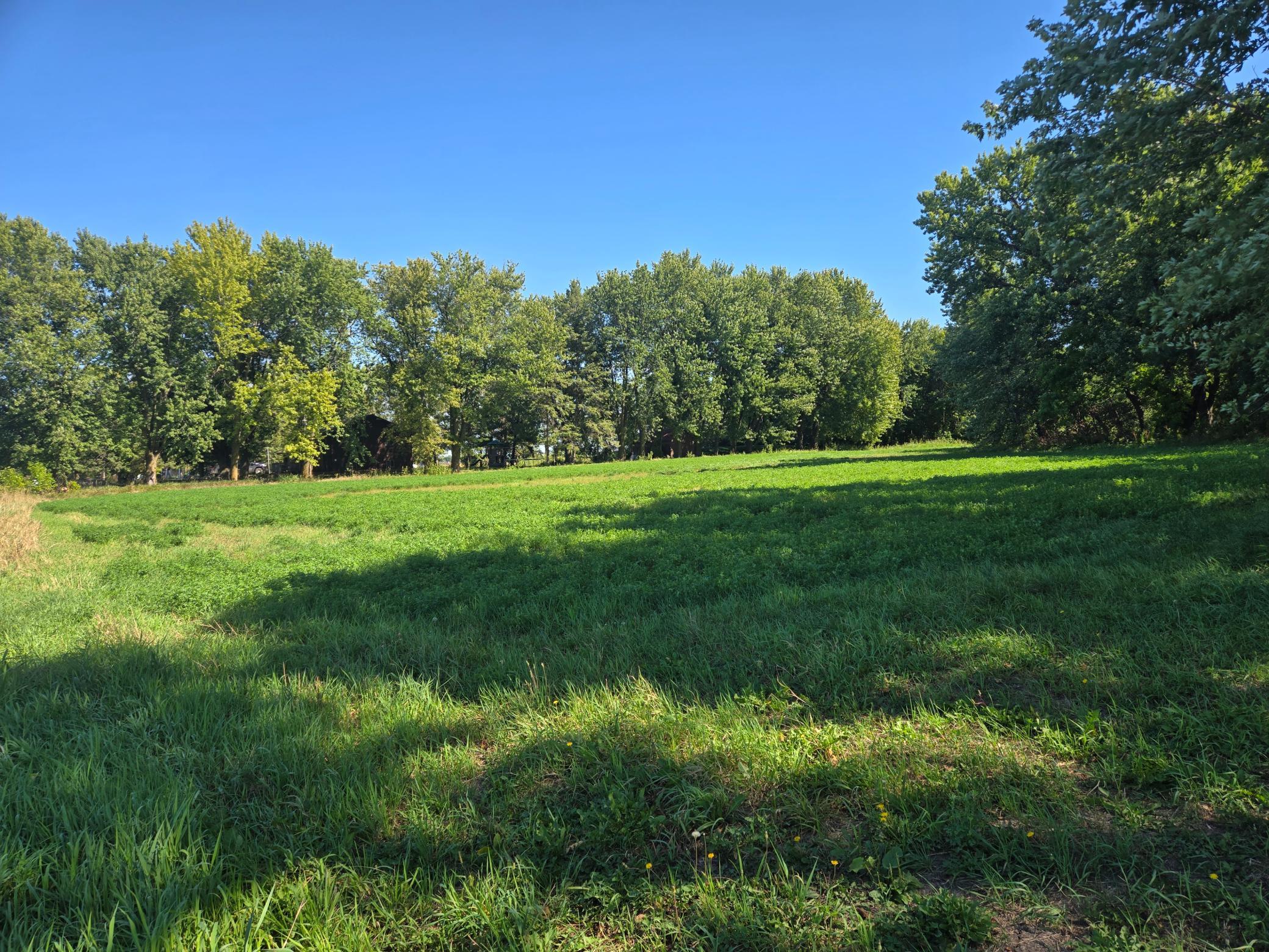 View of Commercial Sale at 23119 411th Avenue, Arlington MN 55307, Arlington (12 of 18) - Mike Wilen | Minnesota Team Real Estate