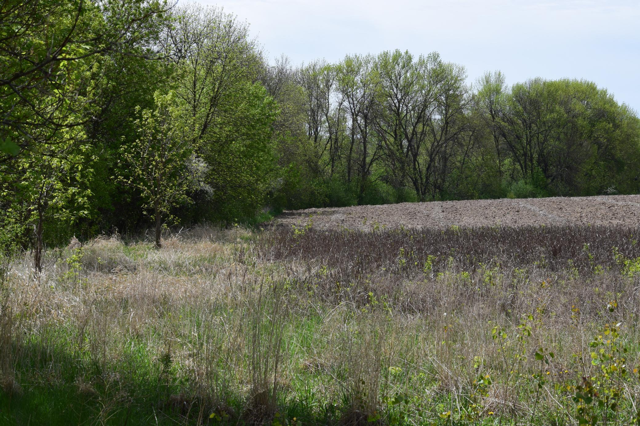 View of Land at 1405 Hamel Road, Medina MN 55340, Medina (8 of 8) - Mike Wilen | Minnesota Team Real Estate