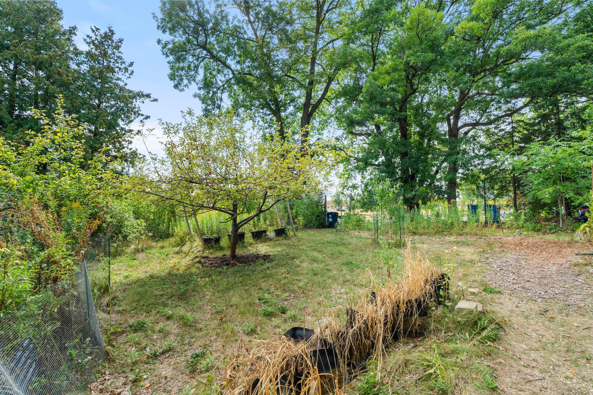View of Residential at 6824 Fish Lake Road, Maple Grove MN 55369, Maple Grove (77 of 96) - Mike Wilen | Minnesota Team Real Estate