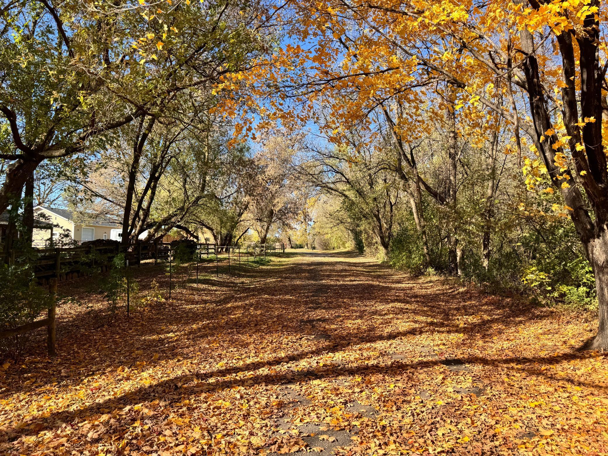 View of Single Family at 2095 Jamison Avenue, Saint Michael - Mike Wilen | Minnesota Team Real Estate