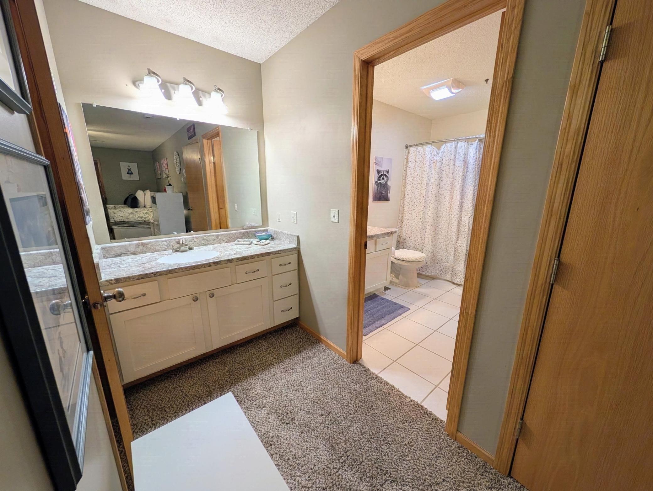View of Residential at 3349 Cory Lane, Hastings MN 55033, Hastings (23 of 46) - Mike Wilen | Minnesota Team Real Estate