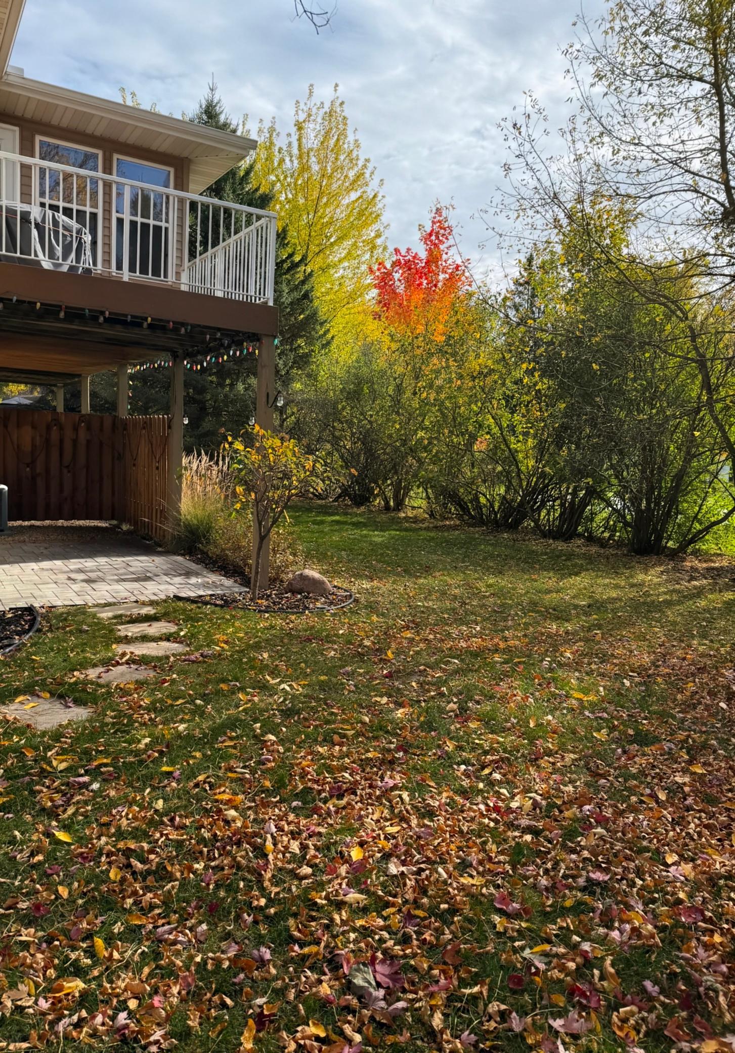View of Residential at 3349 Cory Lane, Hastings MN 55033, Hastings (3 of 45) - Mike Wilen | Minnesota Team Real Estate