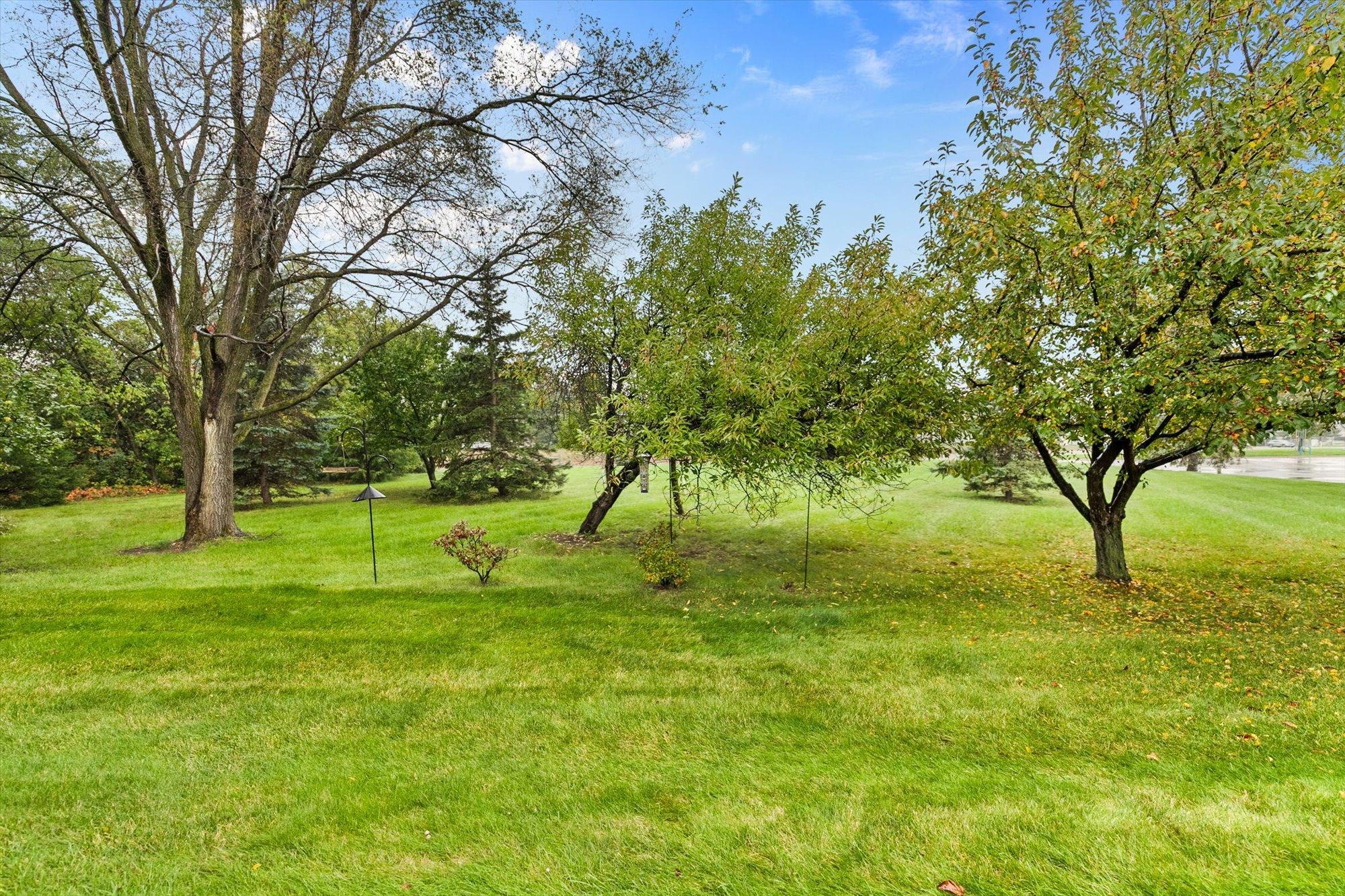 View of Residential at 15266 Cobalt Street, Ramsey MN 55303, Ramsey (3 of 26) - Mike Wilen | Minnesota Team Real Estate