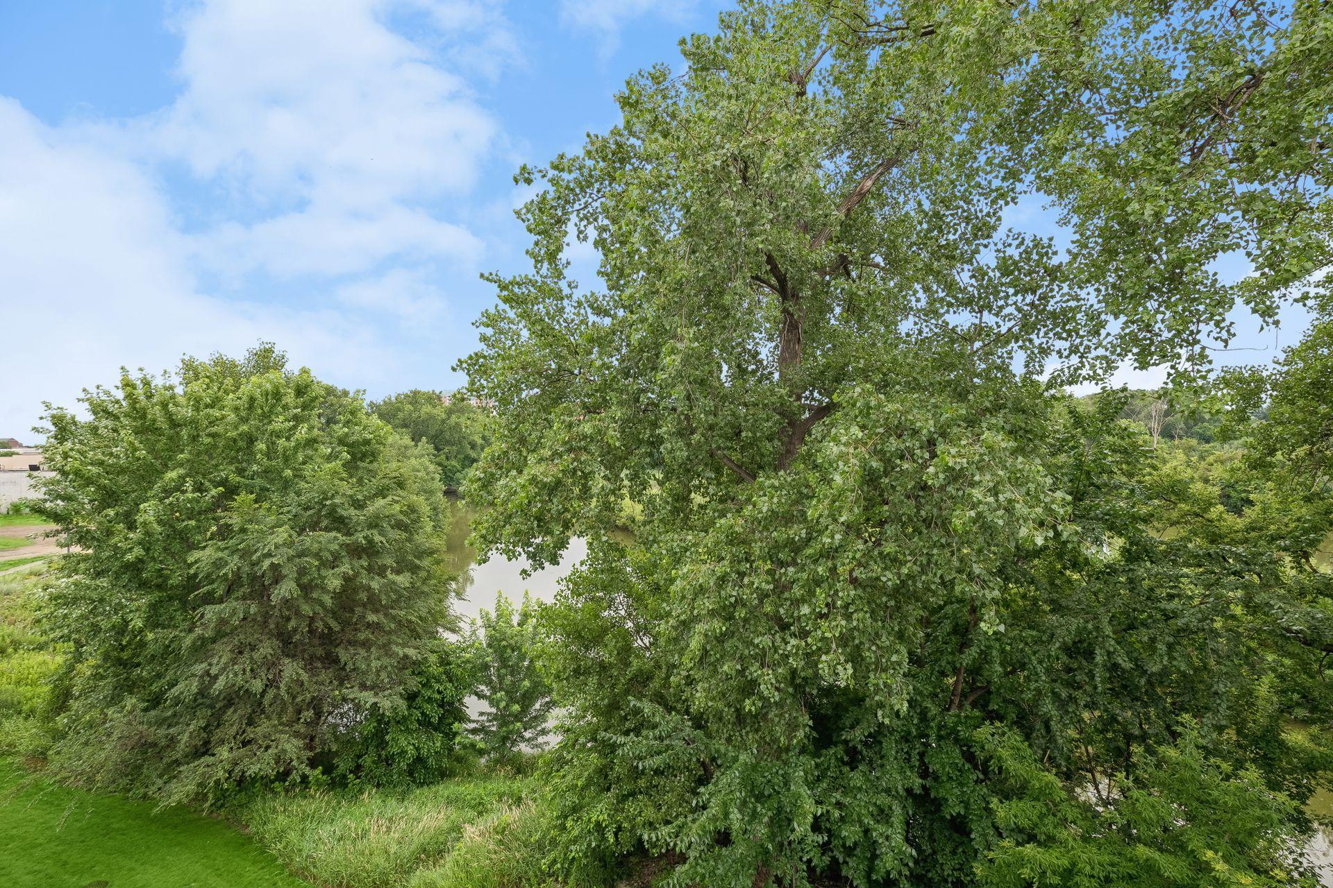View of Residential at 6354 Lyndale Avenue #W301, Richfield MN 55423, Richfield (41 of 43) - Mike Wilen | Minnesota Team Real Estate