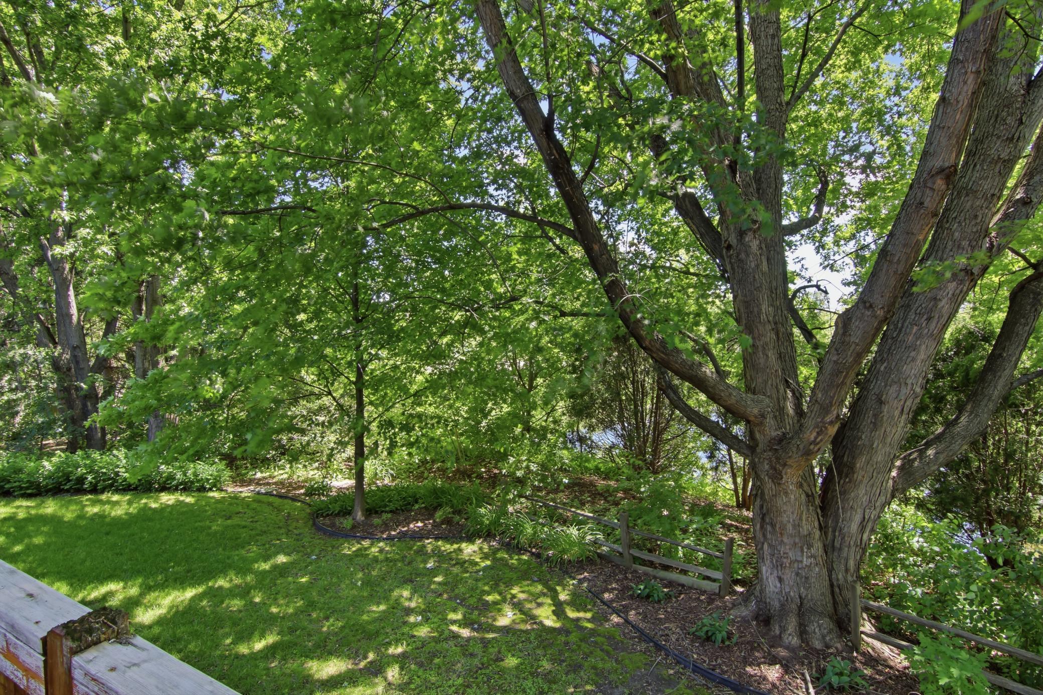View of Residential at 9953 Starlight Drive, Woodbury MN 55125, Woodbury (46 of 50) - Mike Wilen | Minnesota Team Real Estate