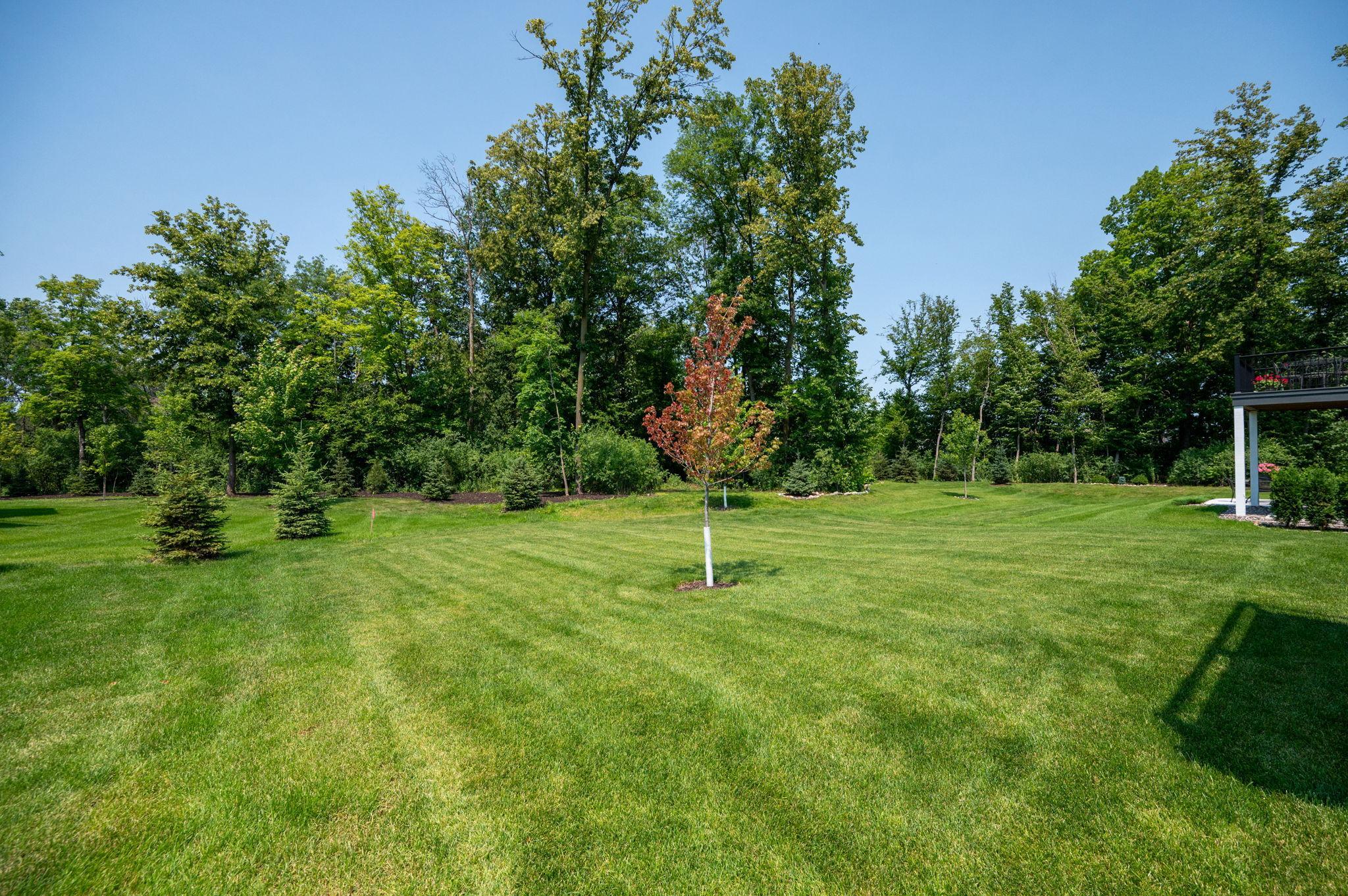 View of Residential at 4747 Lawndale Court, Plymouth MN 55446, Plymouth (30 of 35) - Mike Wilen | Minnesota Team Real Estate
