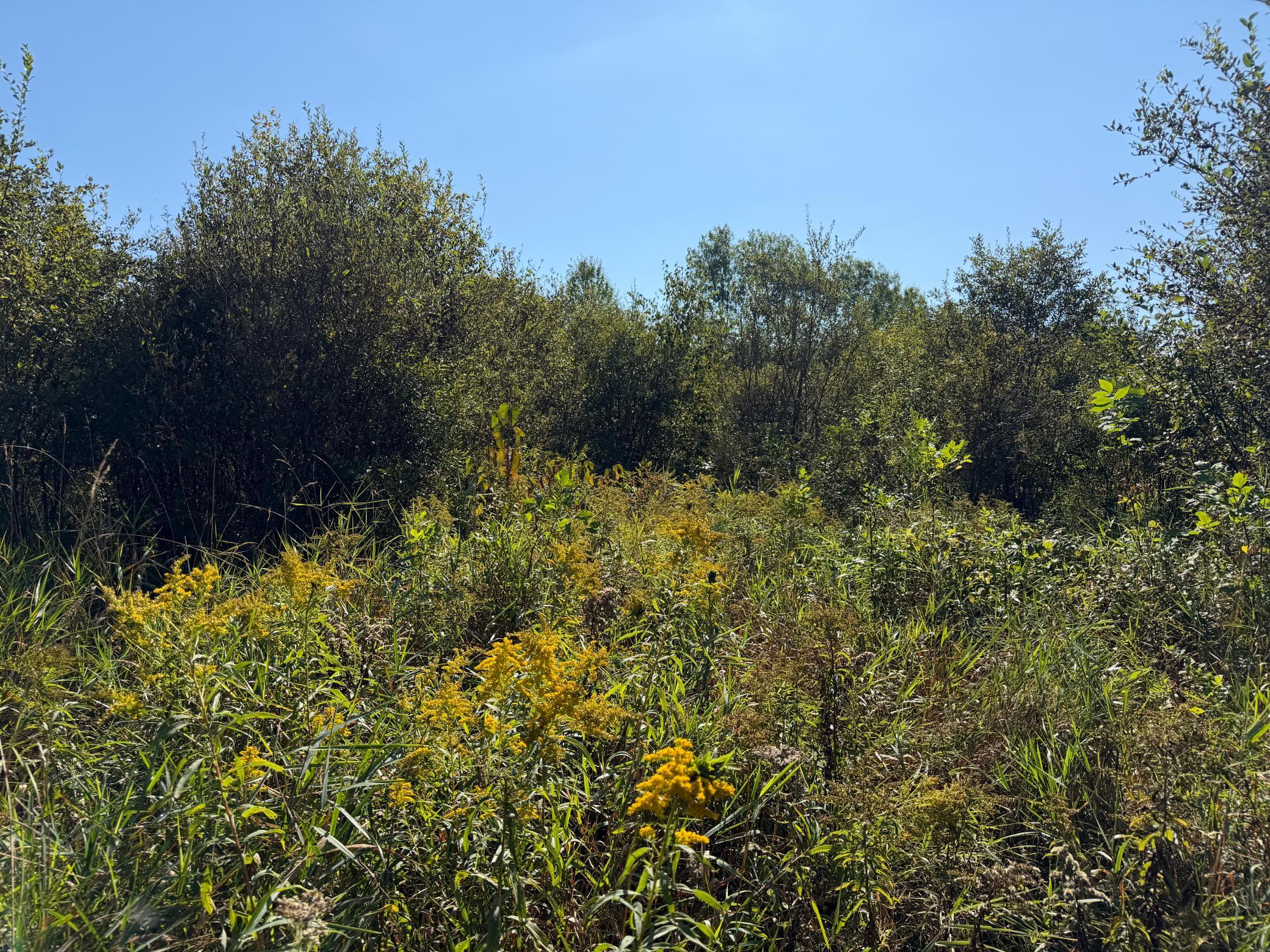 View of Land at TBD 290th Street, Onamia MN 56359, Onamia (49 of 104) - Mike Wilen | Minnesota Team Real Estate