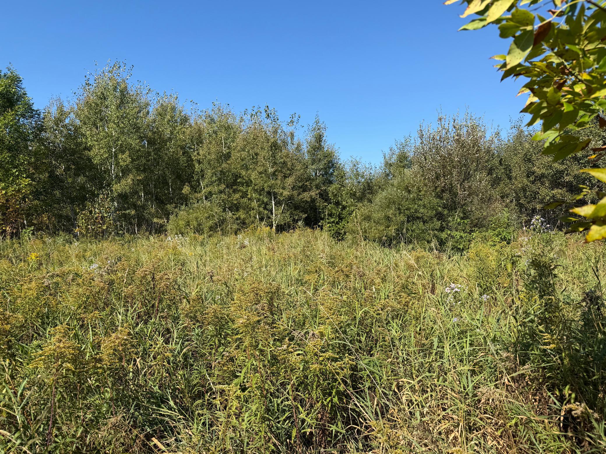 View of Land at TBD 290th Street, Onamia MN 56359, Onamia (48 of 104) - Mike Wilen | Minnesota Team Real Estate
