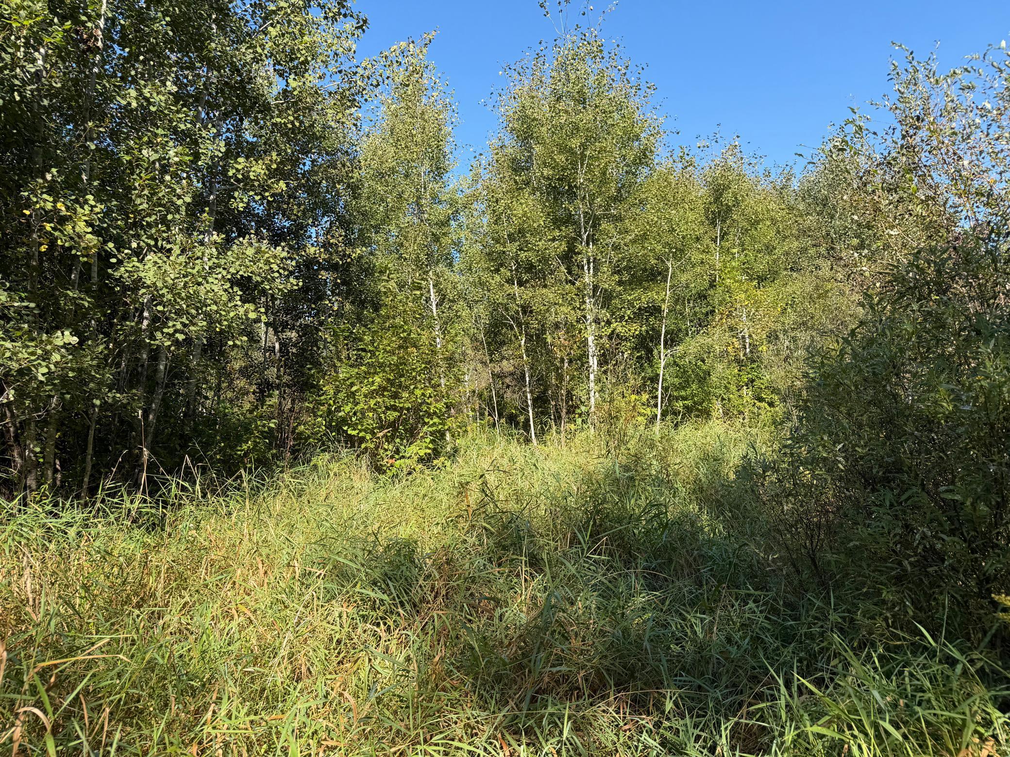 View of Land at TBD 290th Street, Onamia MN 56359, Onamia (47 of 104) - Mike Wilen | Minnesota Team Real Estate