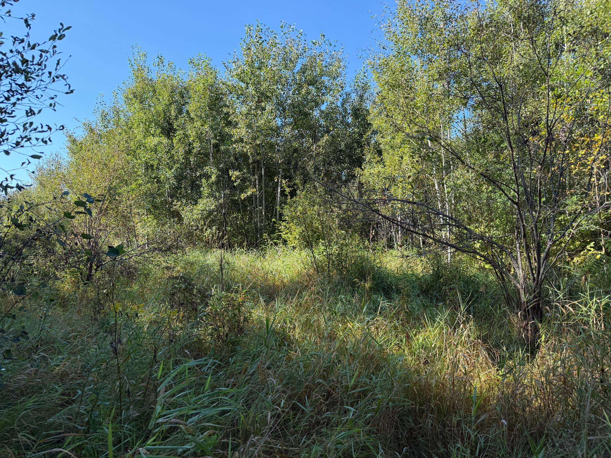 View of Land at TBD 290th Street, Onamia MN 56359, Onamia (46 of 104) - Mike Wilen | Minnesota Team Real Estate