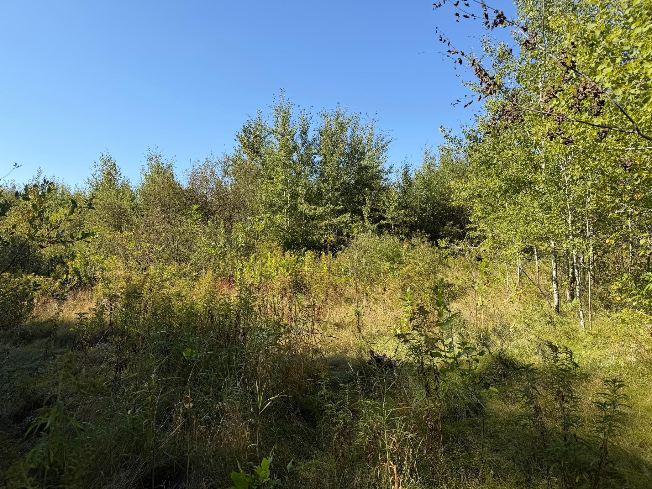 View of Land at TBD 290th Street, Onamia MN 56359, Onamia (45 of 104) - Mike Wilen | Minnesota Team Real Estate