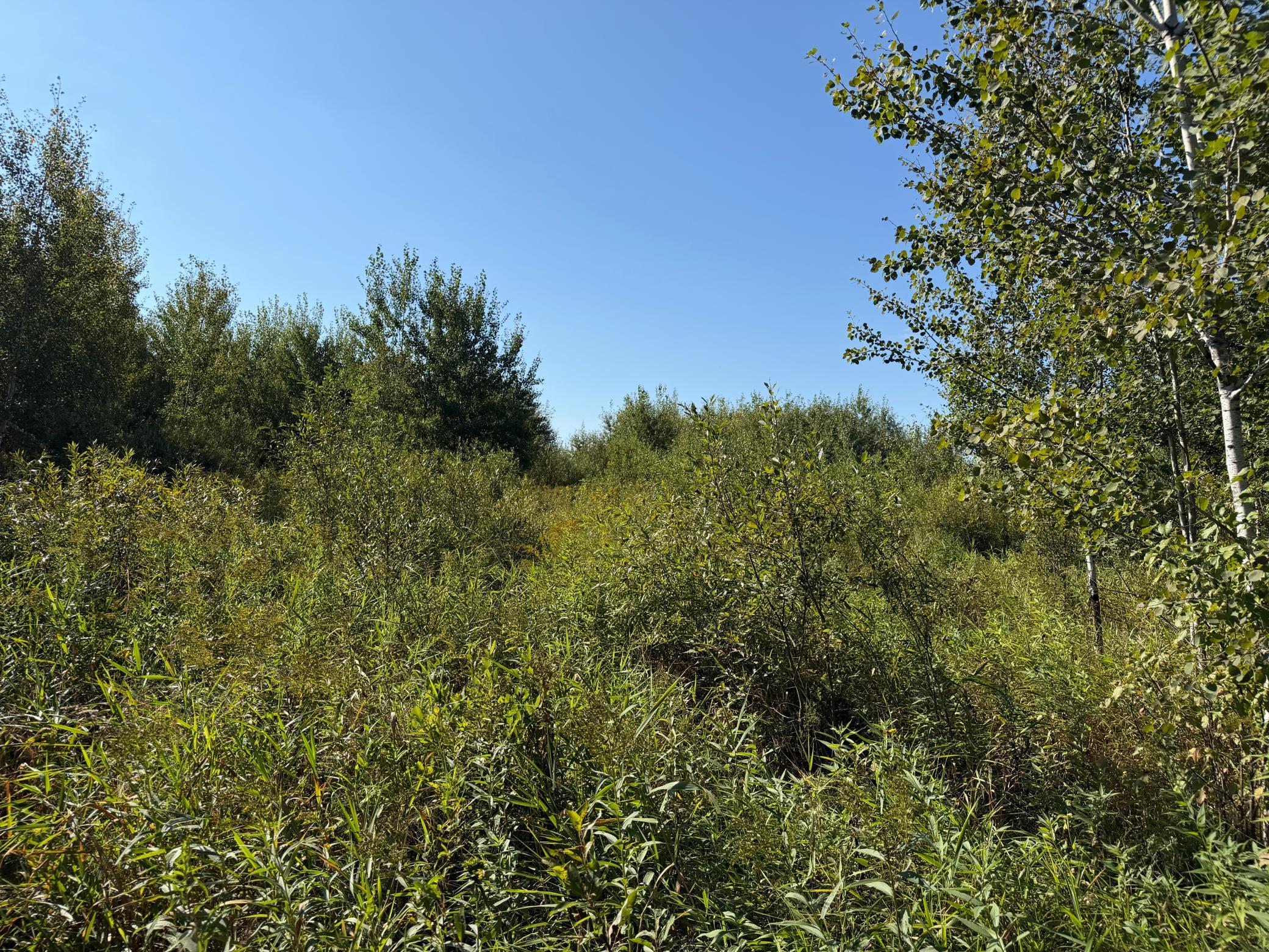 View of Land at TBD 290th Street, Onamia MN 56359, Onamia (40 of 104) - Mike Wilen | Minnesota Team Real Estate