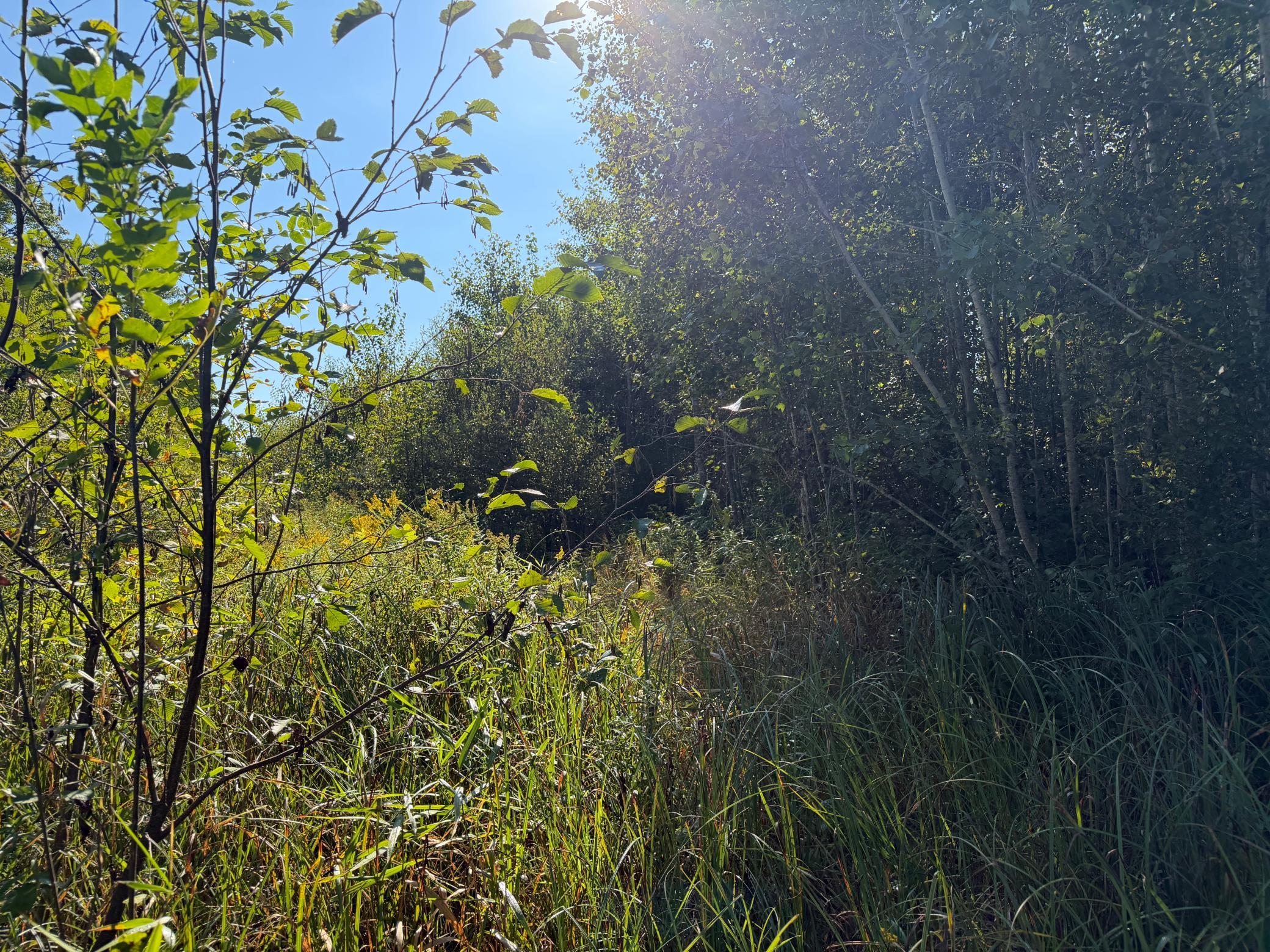 View of Land at TBD 290th Street, Onamia MN 56359, Onamia (35 of 104) - Mike Wilen | Minnesota Team Real Estate