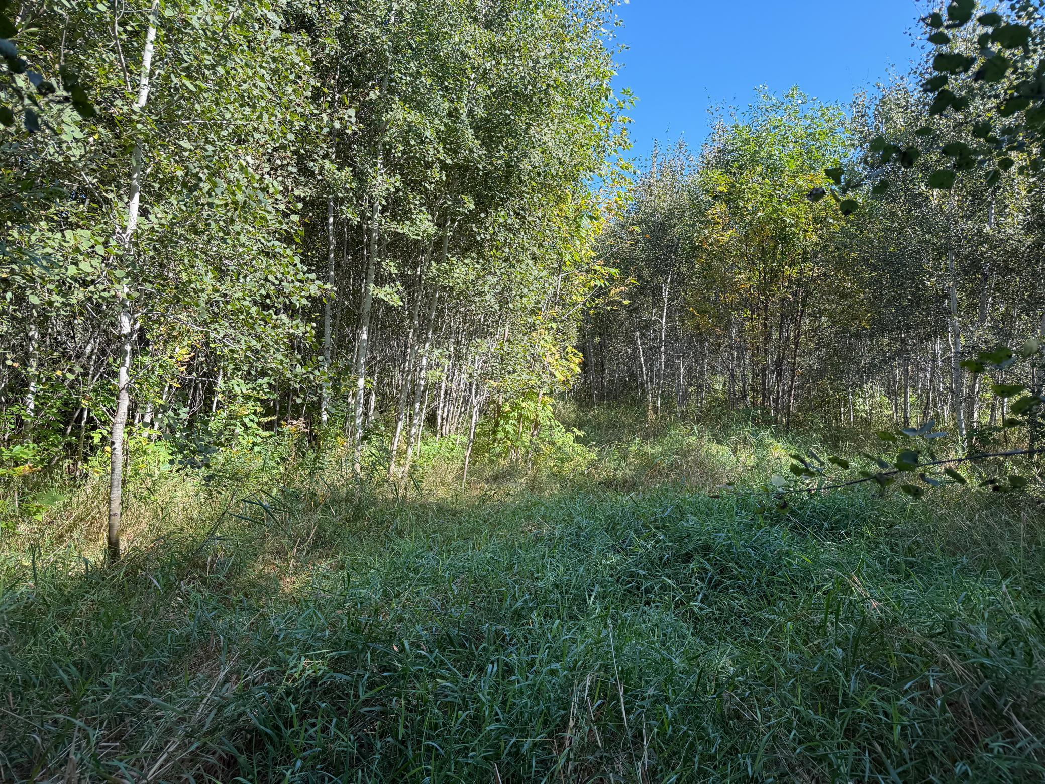 View of Land at TBD 290th Street, Onamia MN 56359, Onamia (24 of 104) - Mike Wilen | Minnesota Team Real Estate