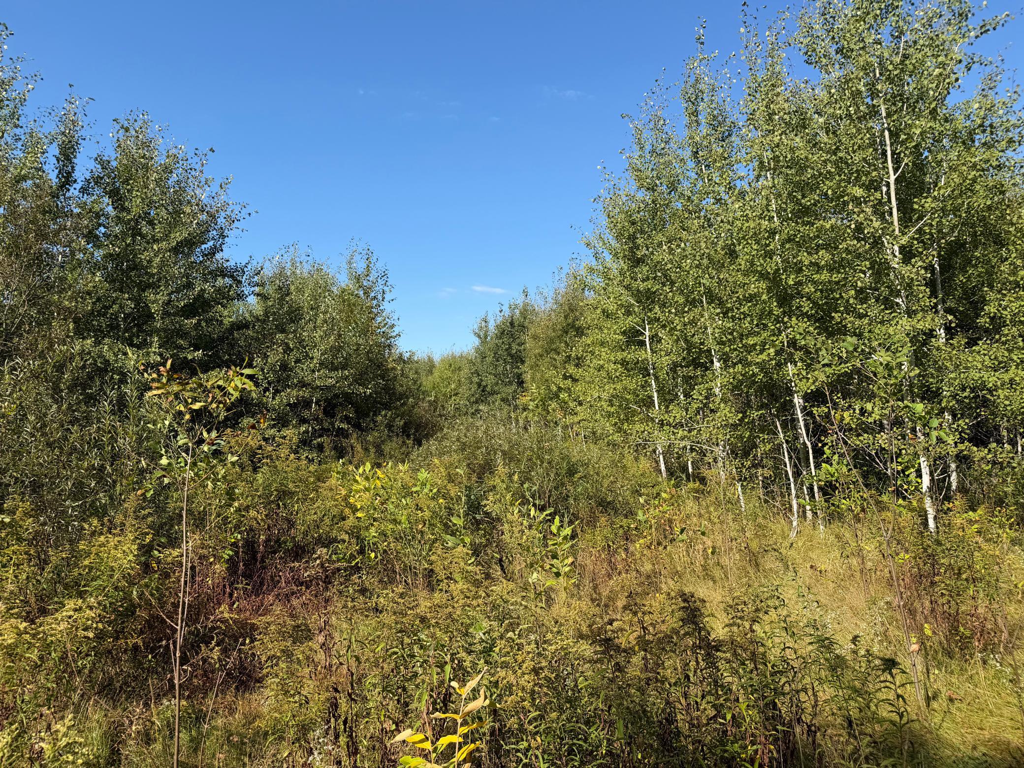 View of Land at TBD 290th Street, Onamia MN 56359, Onamia (15 of 104) - Mike Wilen | Minnesota Team Real Estate