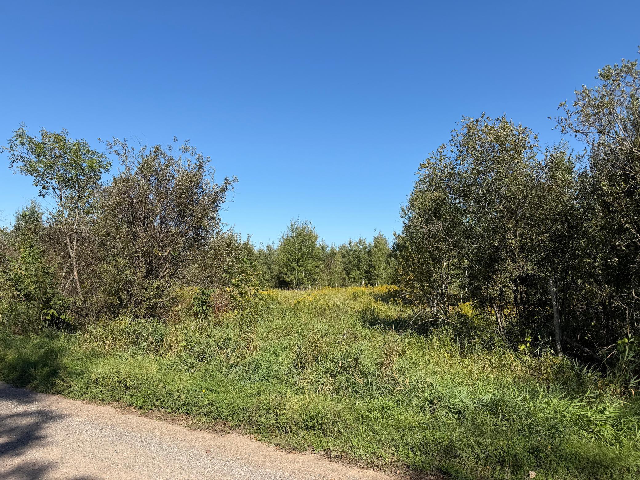 View of Land at TBD 290th Street, Onamia MN 56359, Onamia (7 of 104) - Mike Wilen | Minnesota Team Real Estate