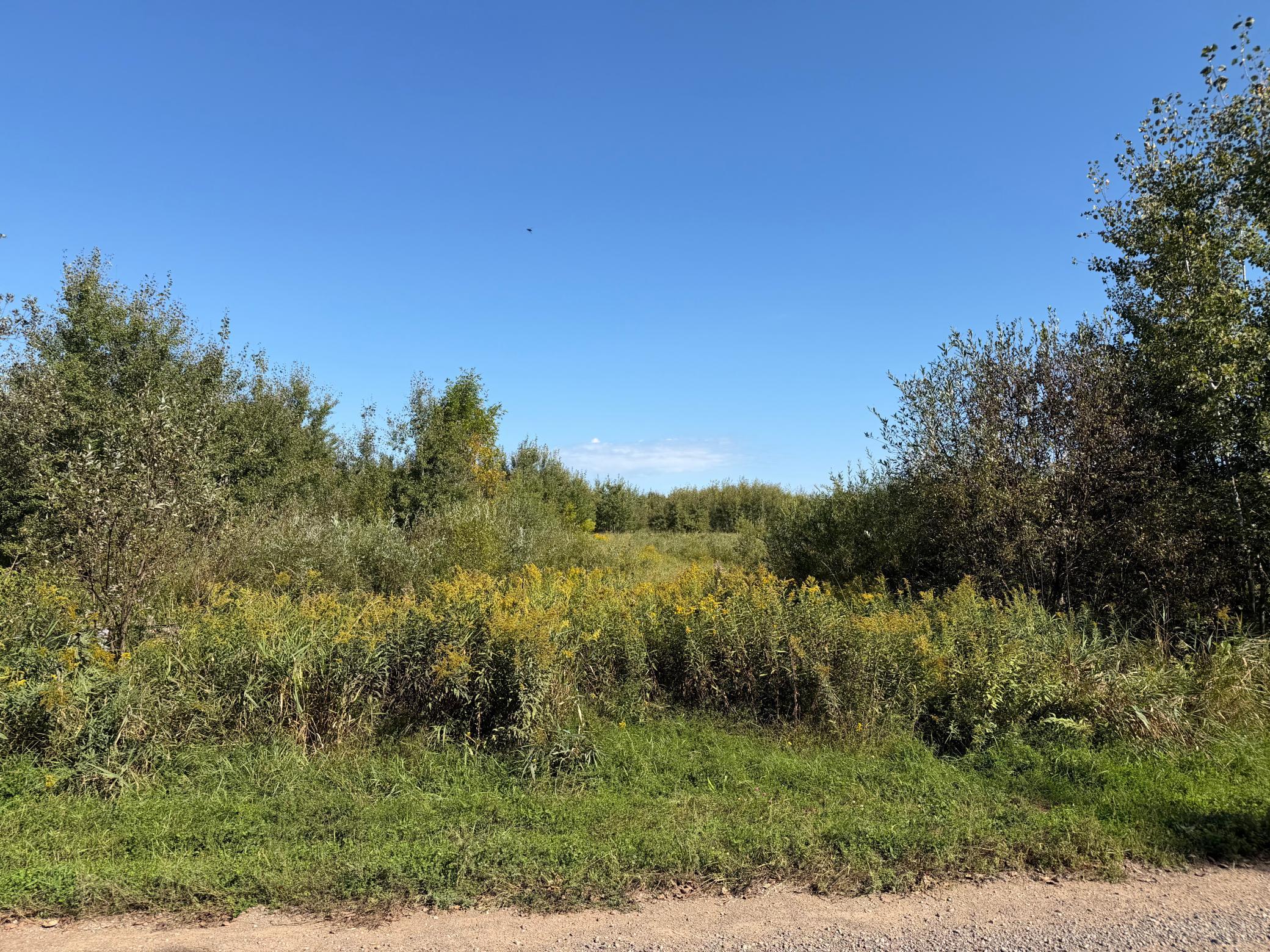 View of Land at TBD 290th Street, Onamia MN 56359, Onamia (2 of 104) - Mike Wilen | Minnesota Team Real Estate
