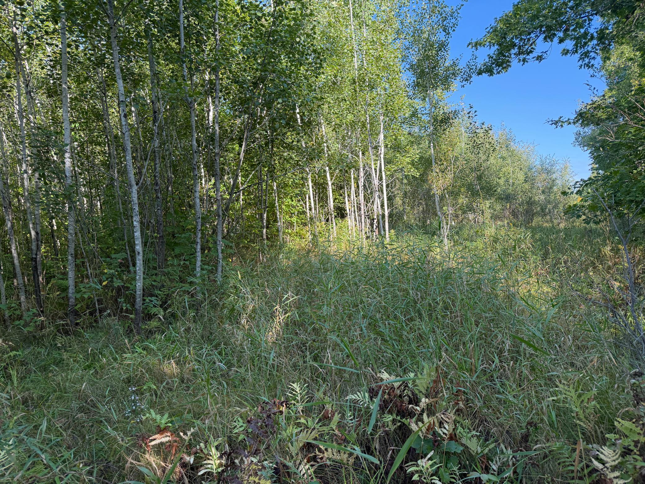 View of Land at TBD 290th Street, Onamia MN 56359, Onamia (94 of 104) - Mike Wilen | Minnesota Team Real Estate
