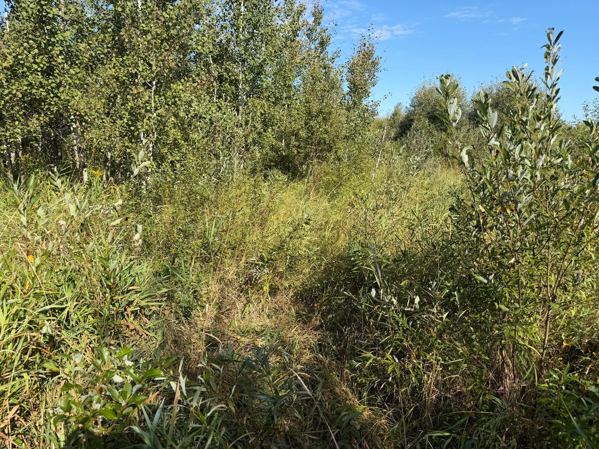 View of Land at TBD 290th Street, Onamia MN 56359, Onamia (90 of 104) - Mike Wilen | Minnesota Team Real Estate