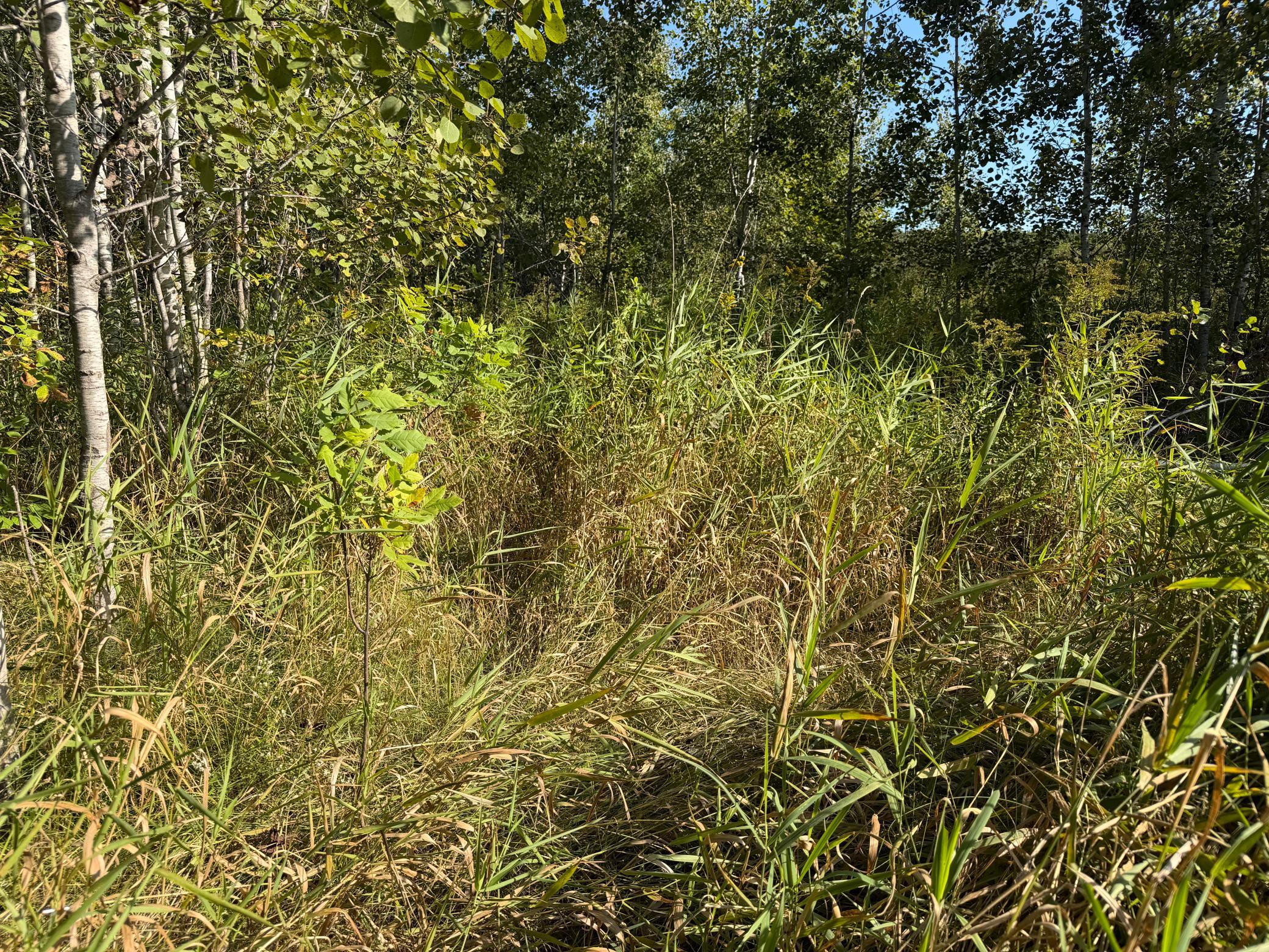 View of Land at TBD 290th Street, Onamia MN 56359, Onamia (88 of 104) - Mike Wilen | Minnesota Team Real Estate