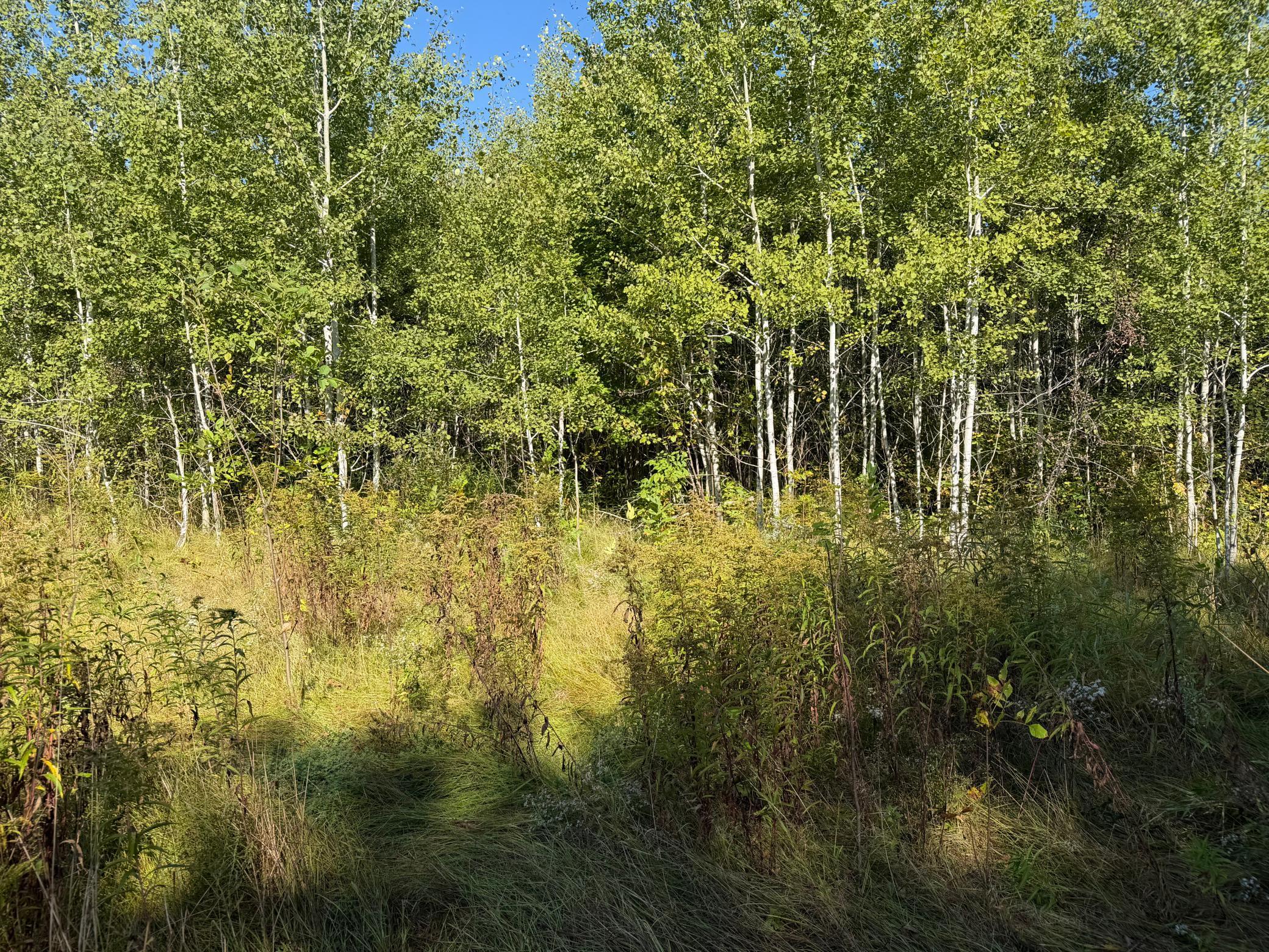 View of Land at TBD 290th Street, Onamia MN 56359, Onamia (74 of 104) - Mike Wilen | Minnesota Team Real Estate