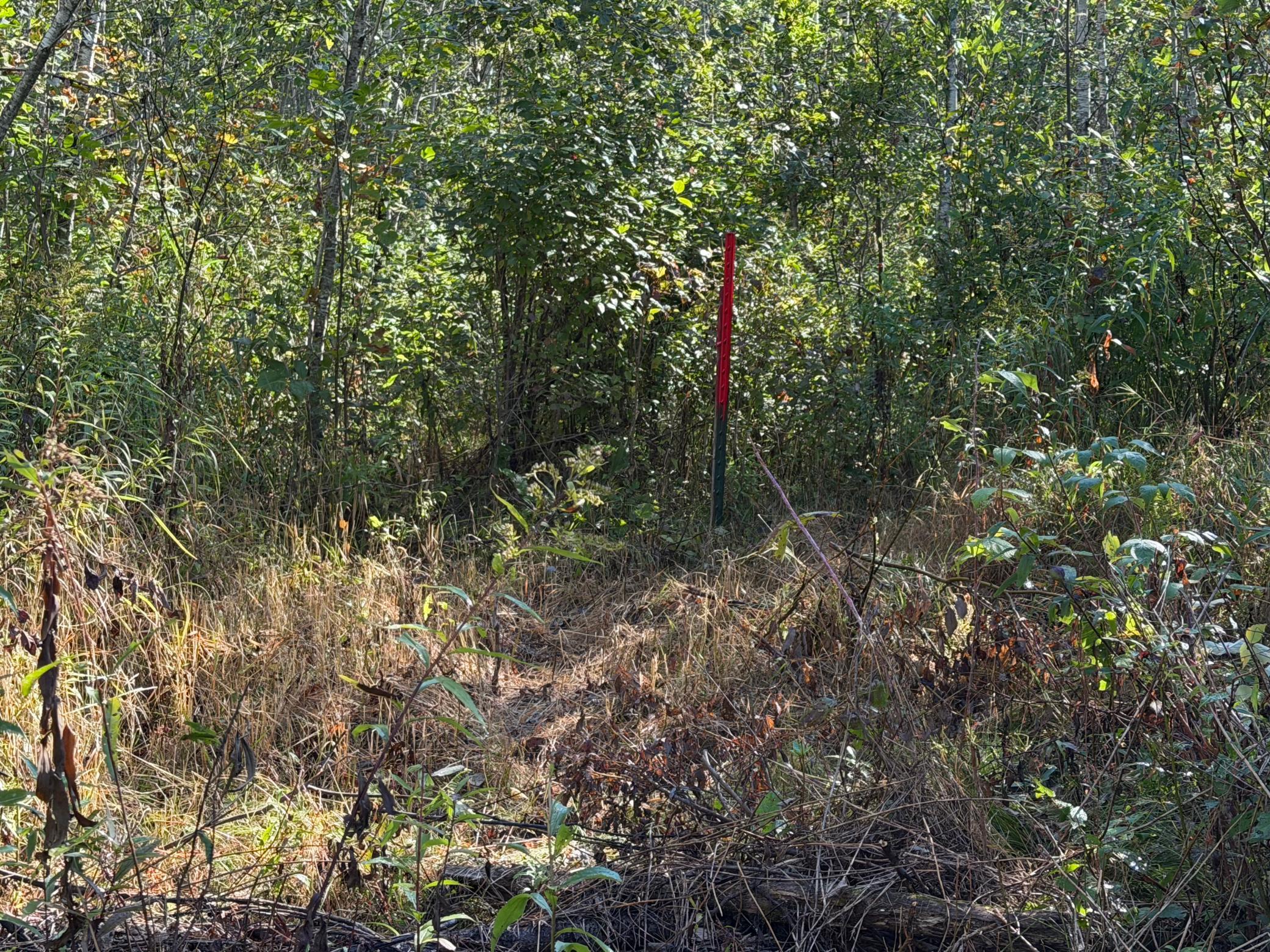 View of Land at TBD 290th Street, Onamia MN 56359, Onamia (71 of 104) - Mike Wilen | Minnesota Team Real Estate