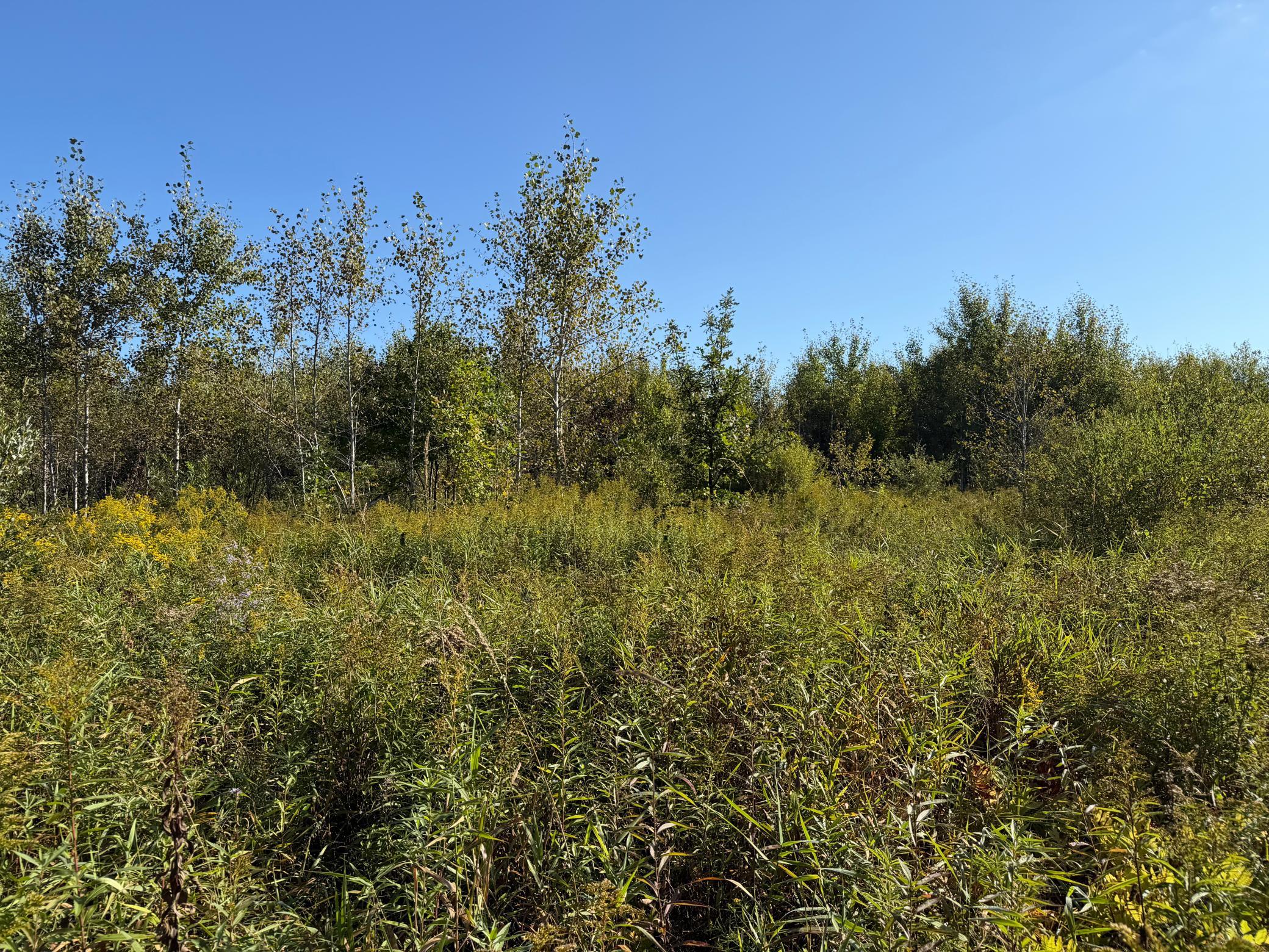 View of Land at TBD 290th Street, Onamia MN 56359, Onamia (69 of 104) - Mike Wilen | Minnesota Team Real Estate