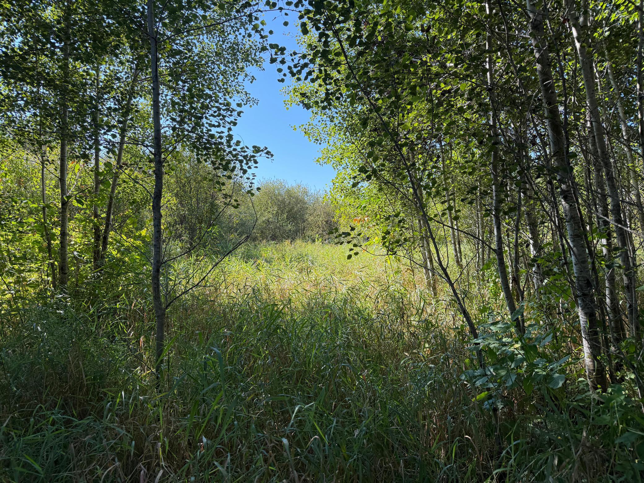 View of Land at TBD 290th Street, Onamia MN 56359, Onamia (68 of 104) - Mike Wilen | Minnesota Team Real Estate