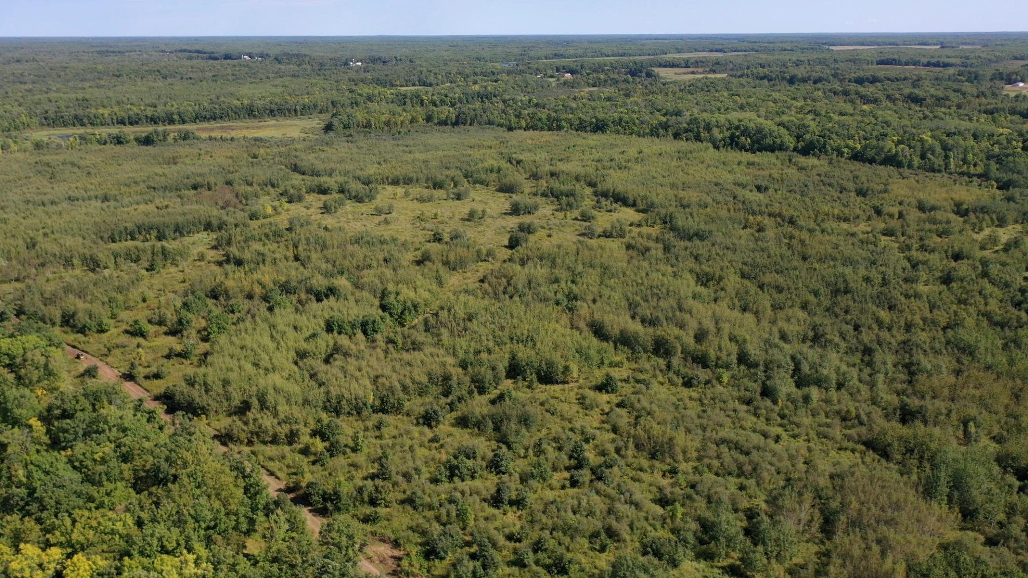 View of Land at TBD 290th Street, Onamia MN 56359, Onamia (65 of 104) - Mike Wilen | Minnesota Team Real Estate